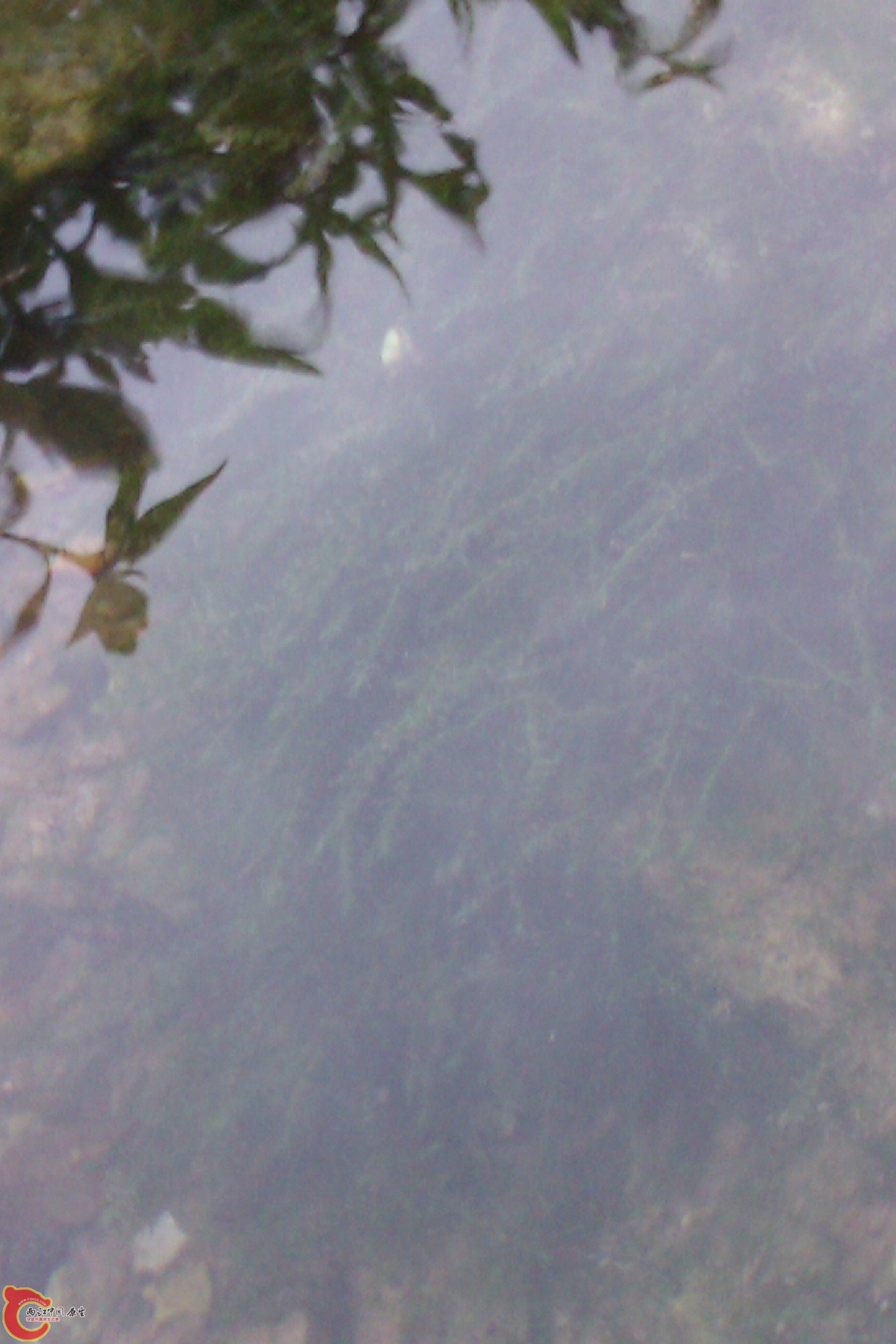 IMAG0112.jpg