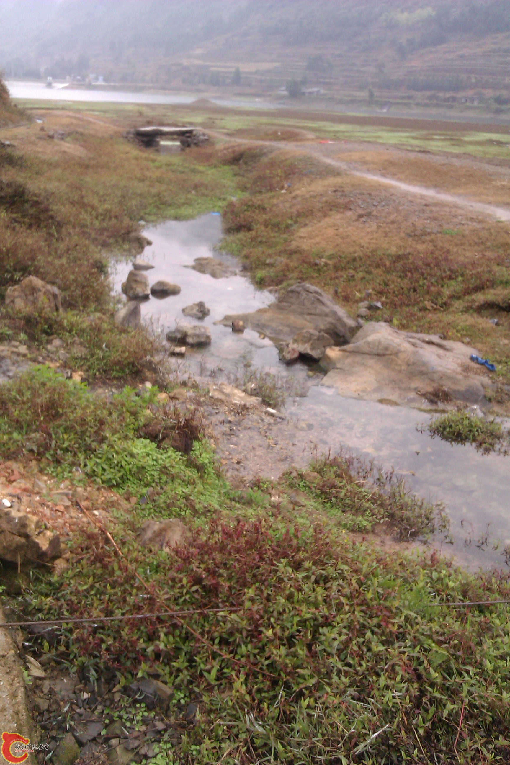 IMAG0113.jpg