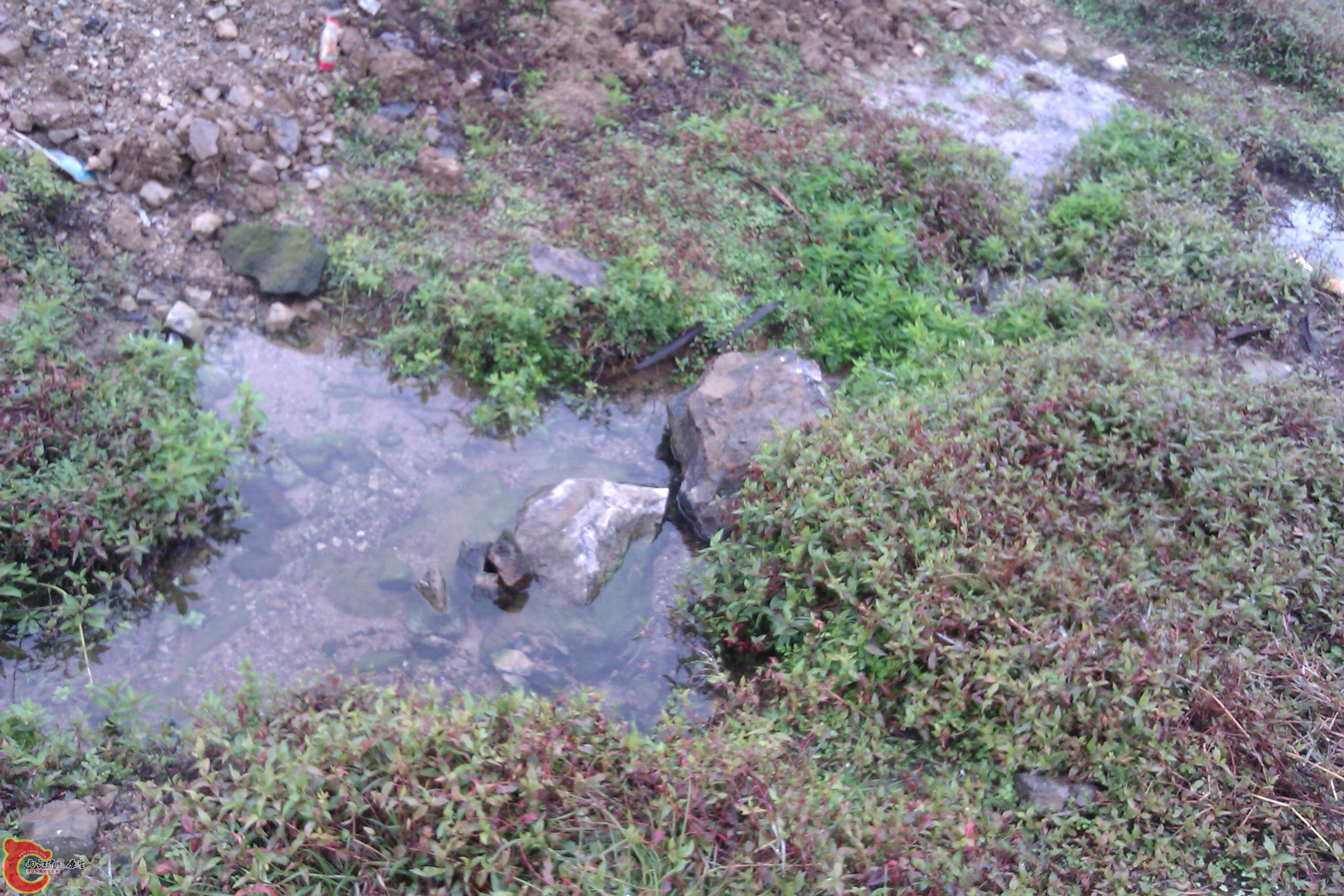 IMAG0114.jpg
