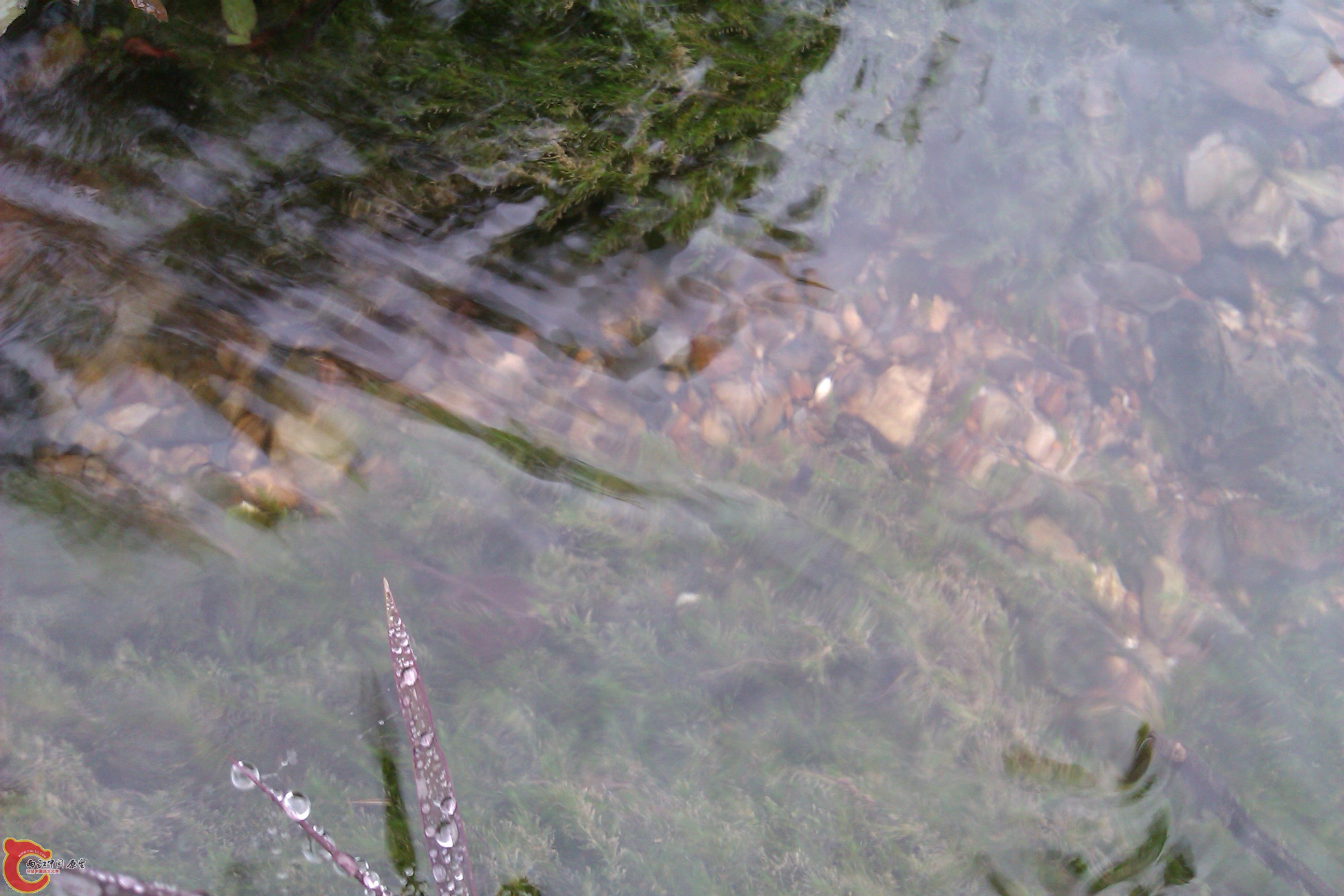IMAG0115.jpg