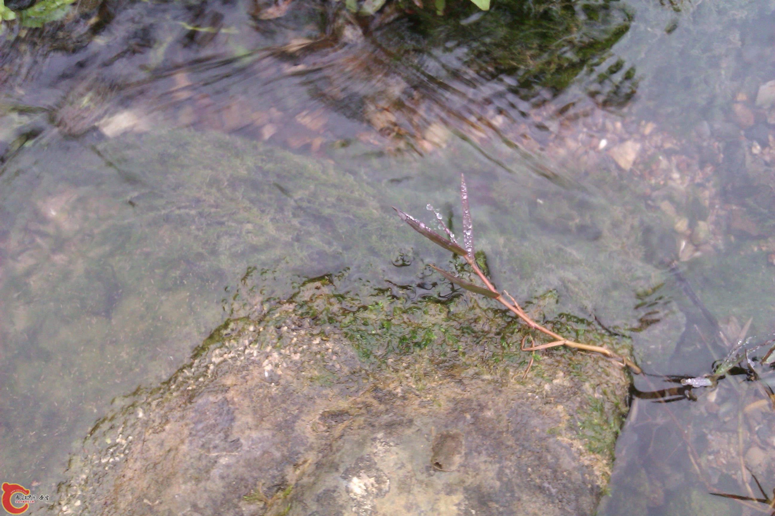 IMAG0117.jpg