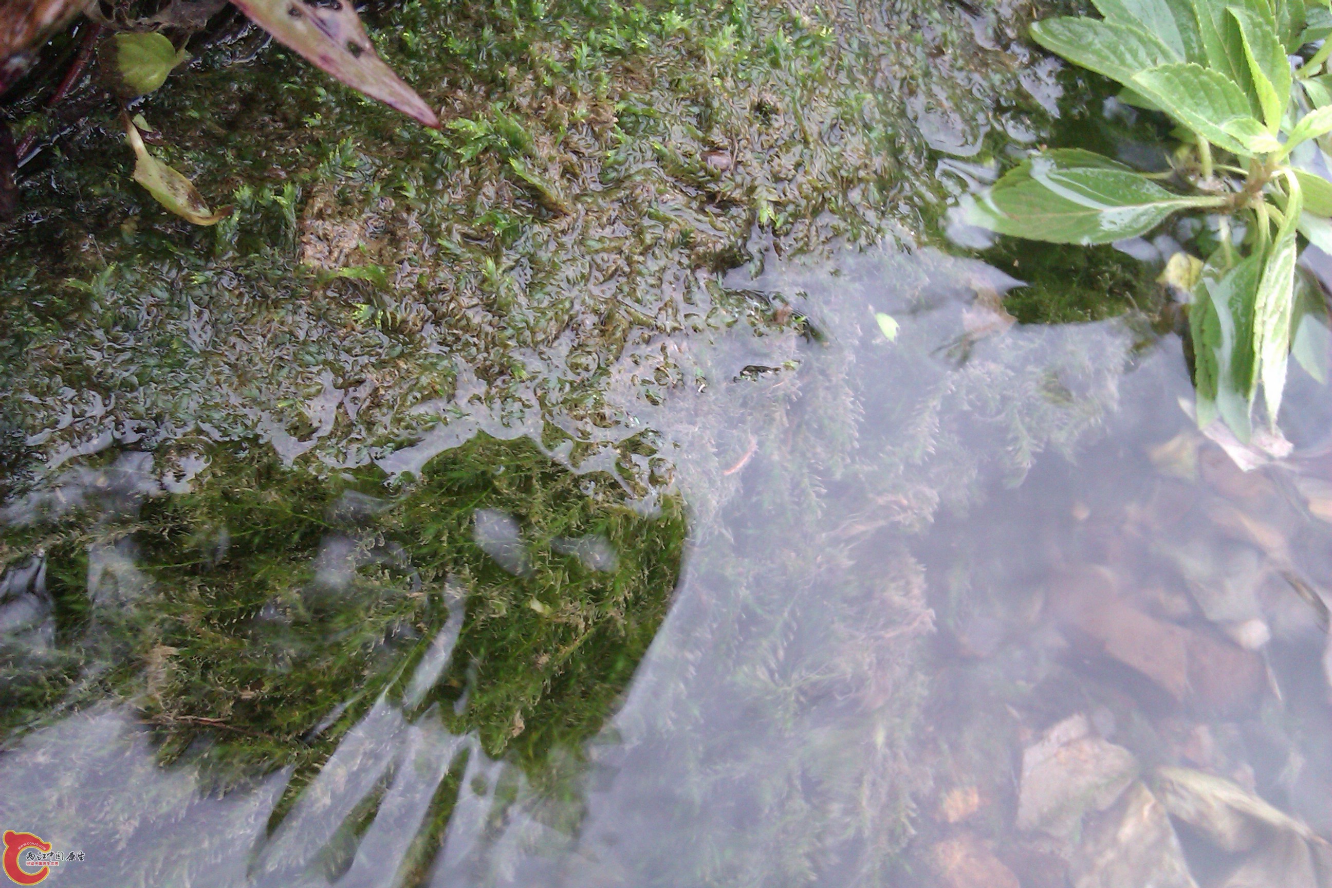IMAG0119.jpg