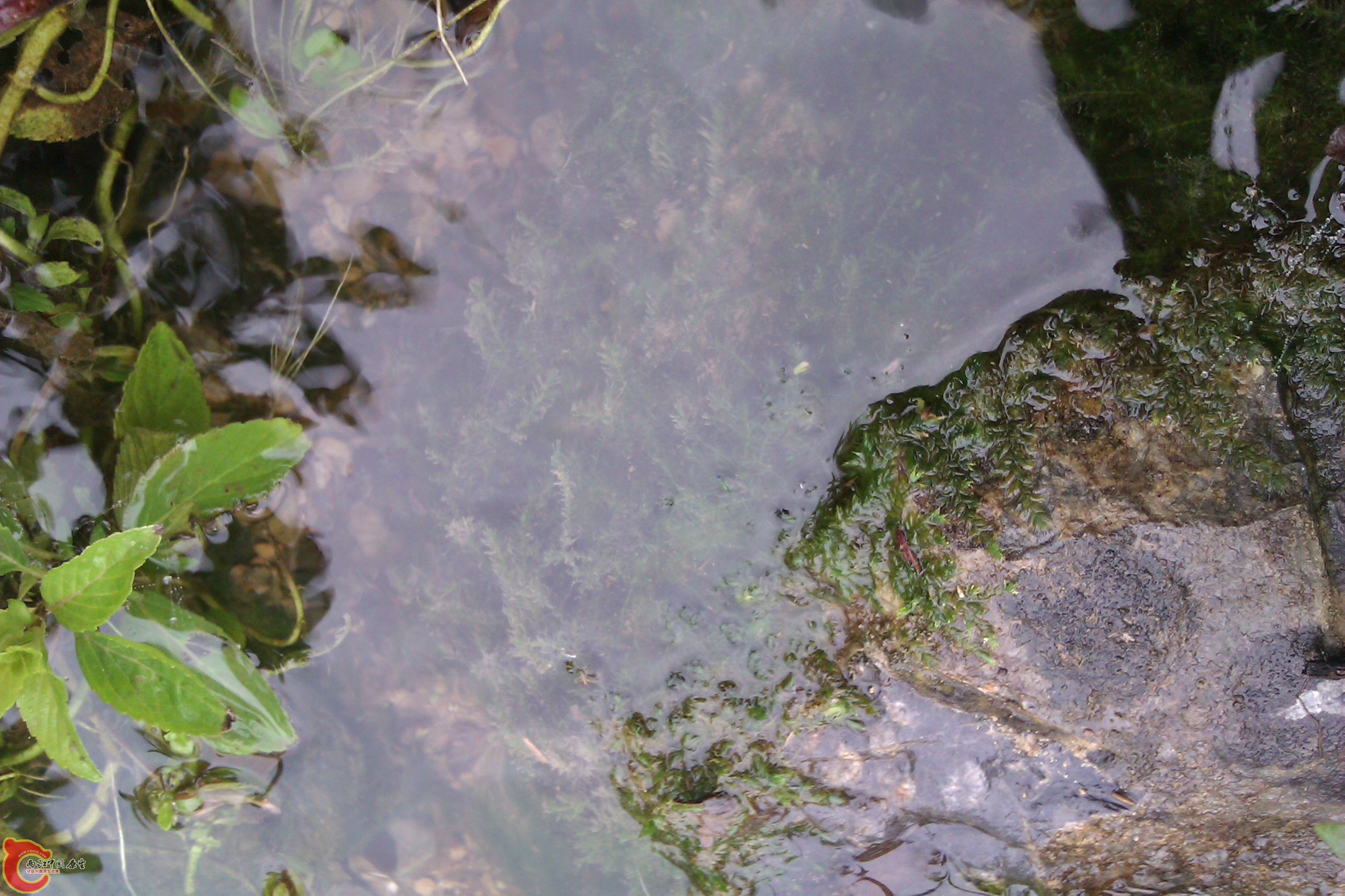 IMAG0120.jpg