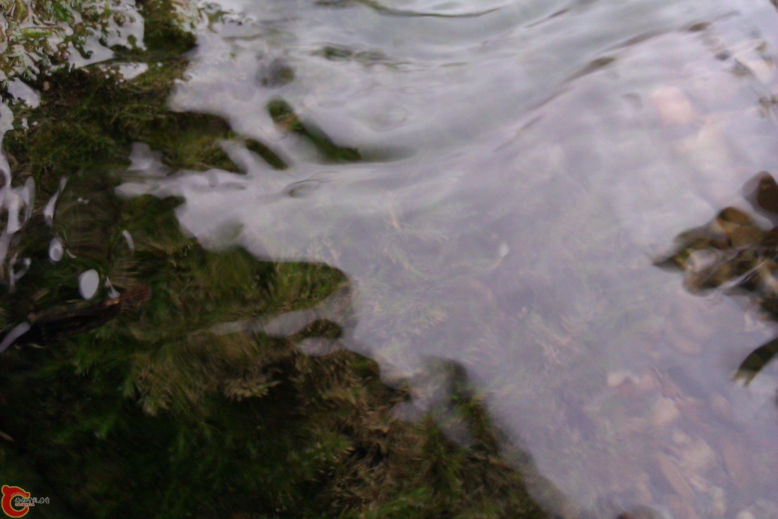 IMAG0121.jpg
