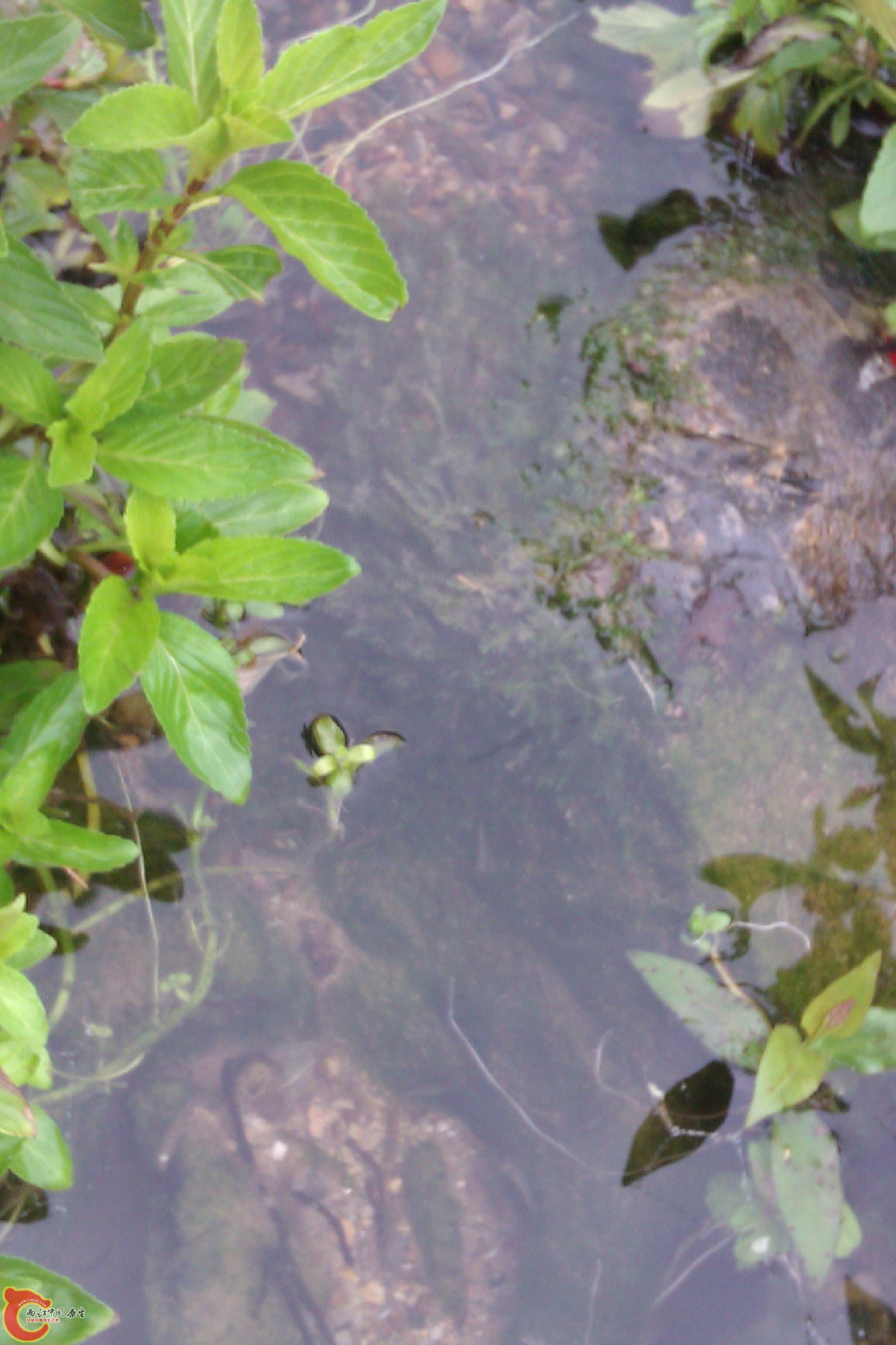 IMAG0122.jpg