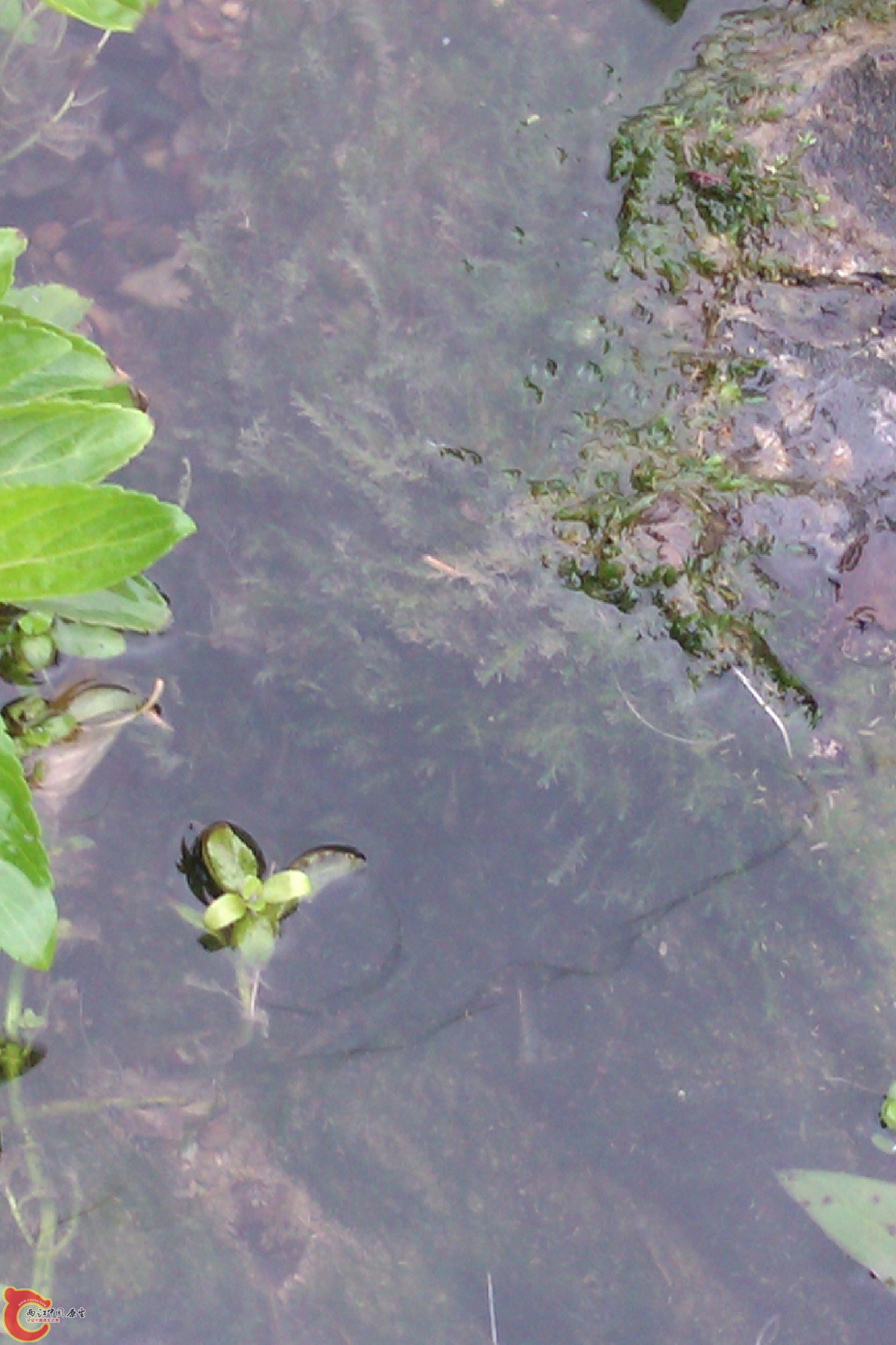 IMAG0123.jpg