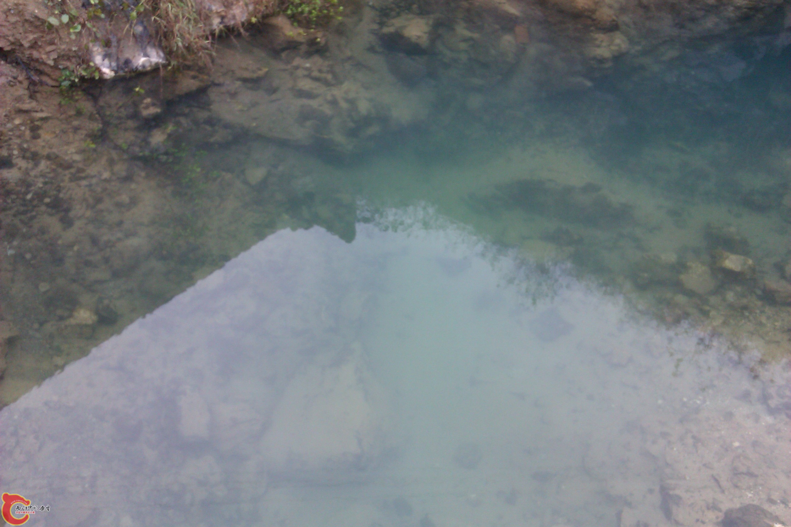 IMAG0126.jpg