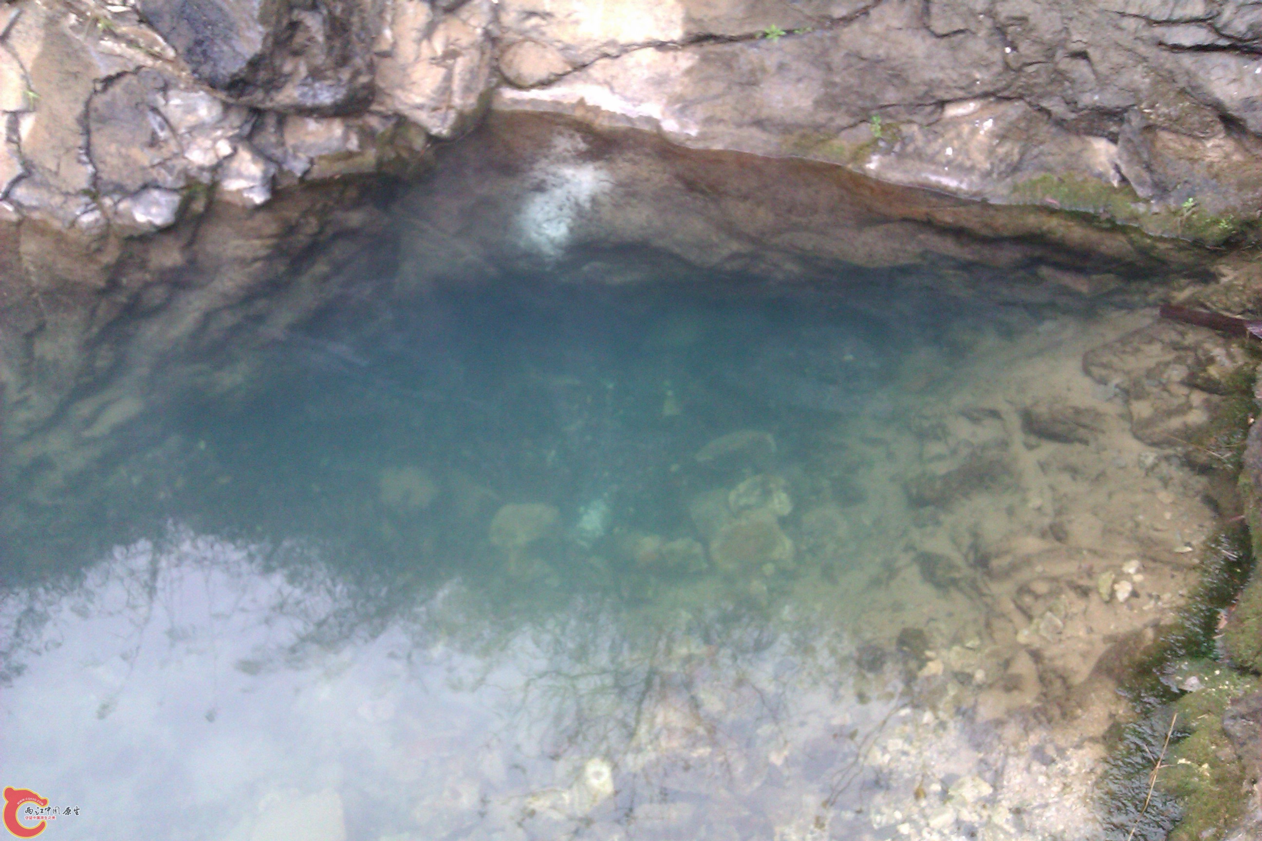 IMAG0127.jpg