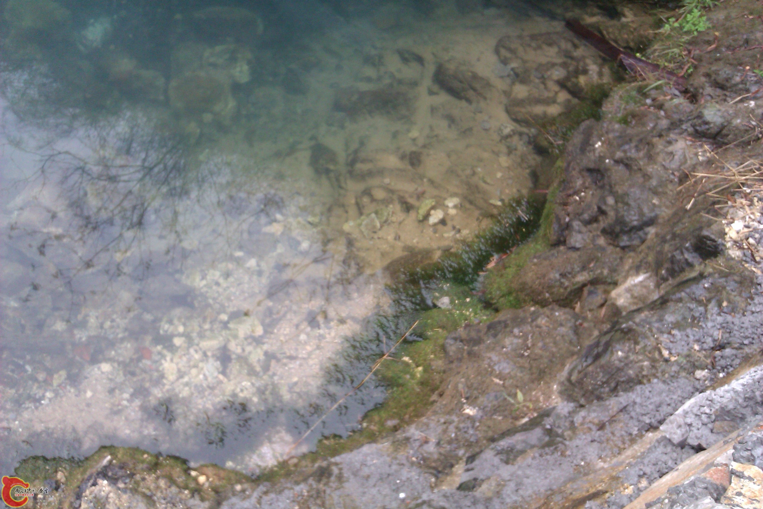 IMAG0128.jpg
