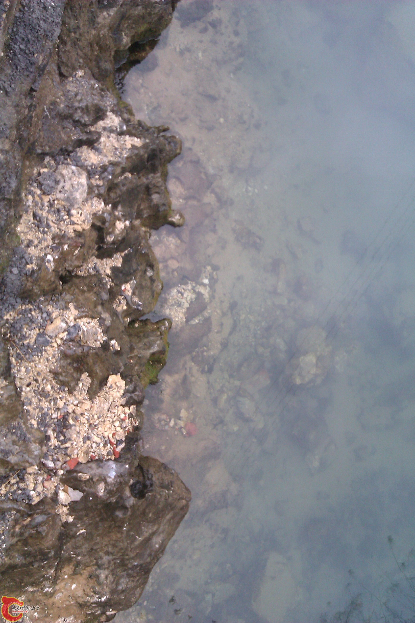 IMAG0129.jpg