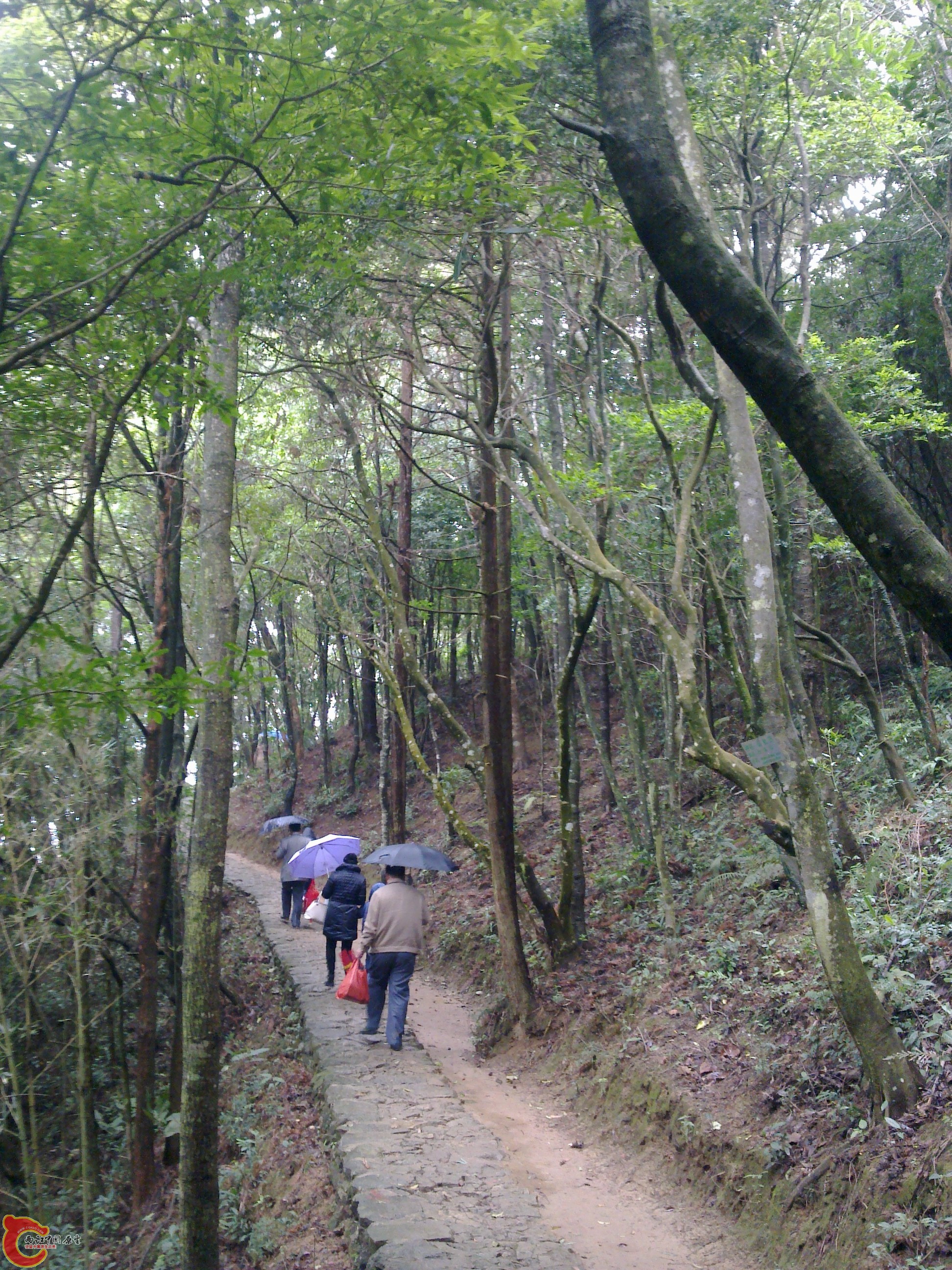 20120126069.jpg
