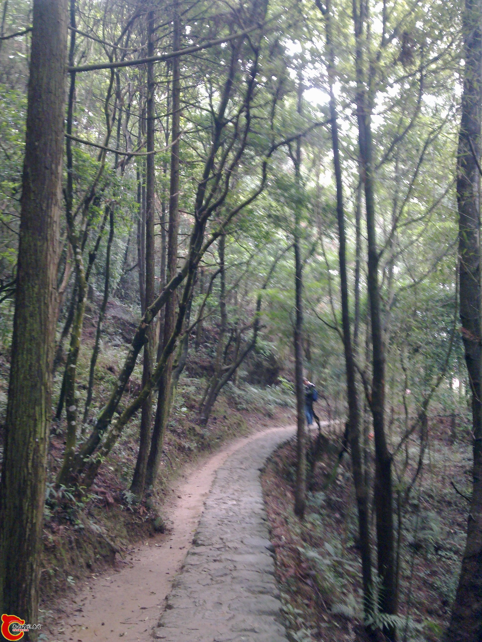 20120126070.jpg