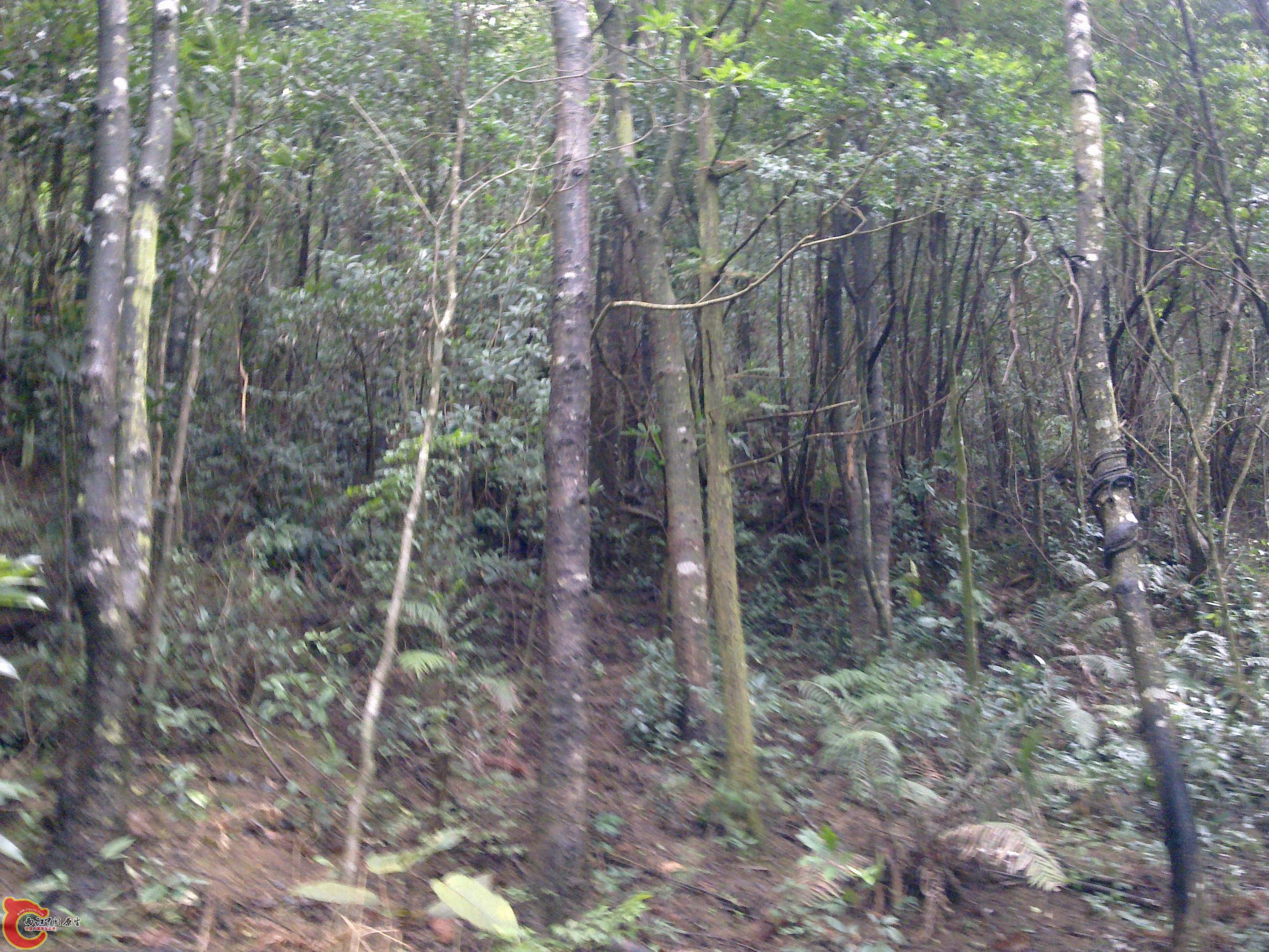 20120126071.jpg