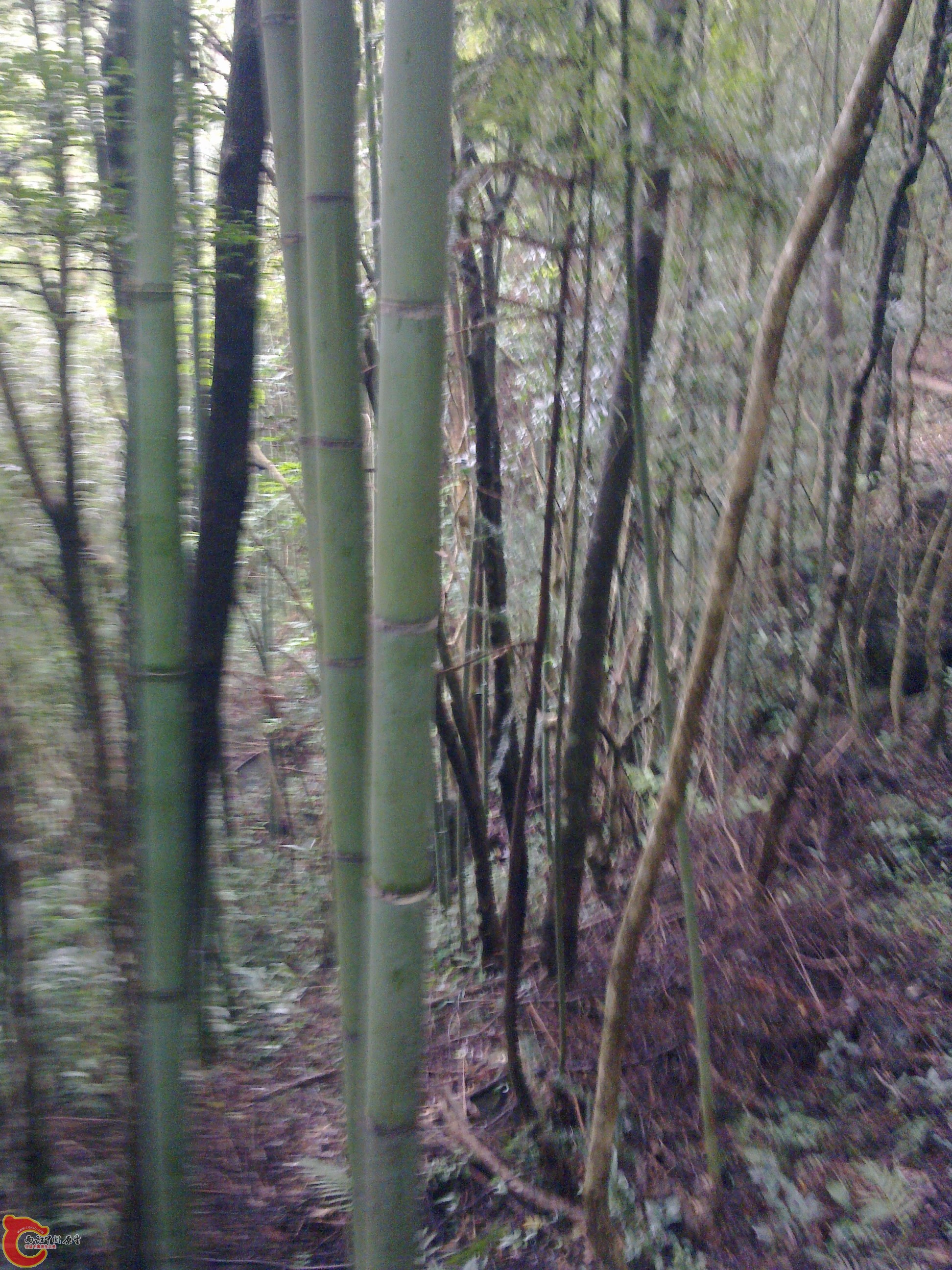 20120126074.jpg