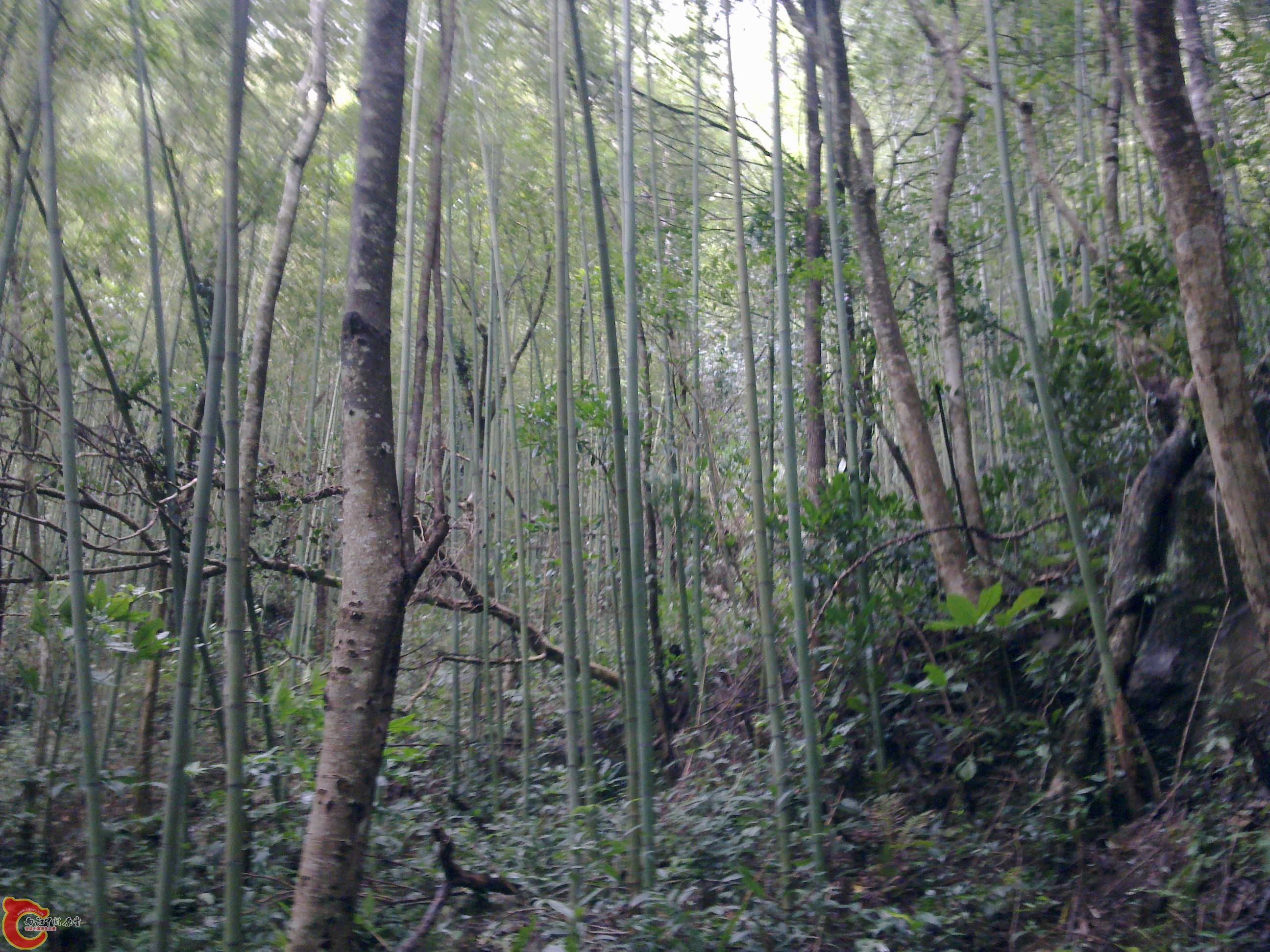 20120126075.jpg