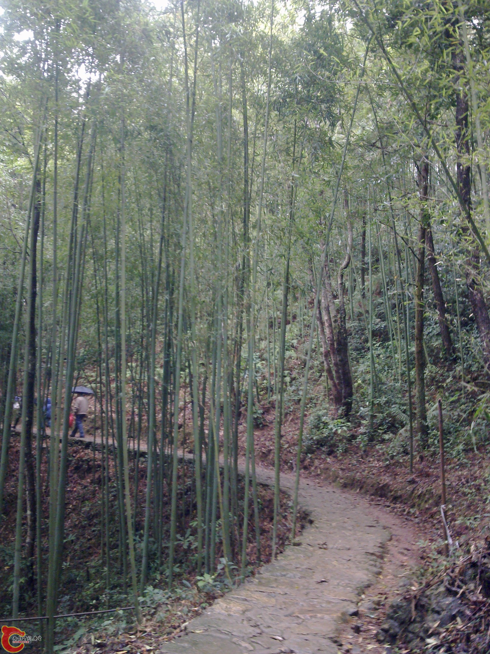 20120126077.jpg