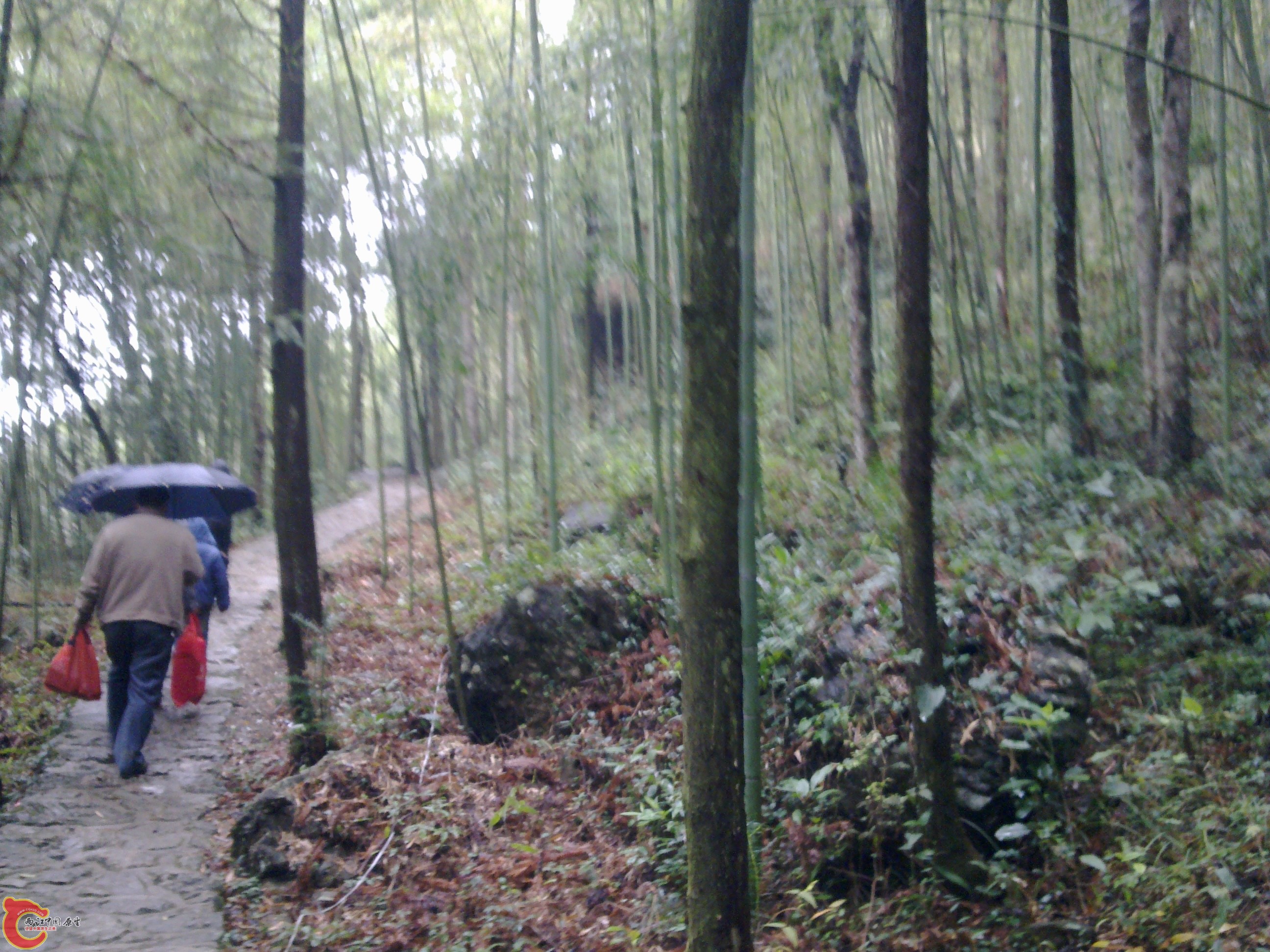 20120126078.jpg