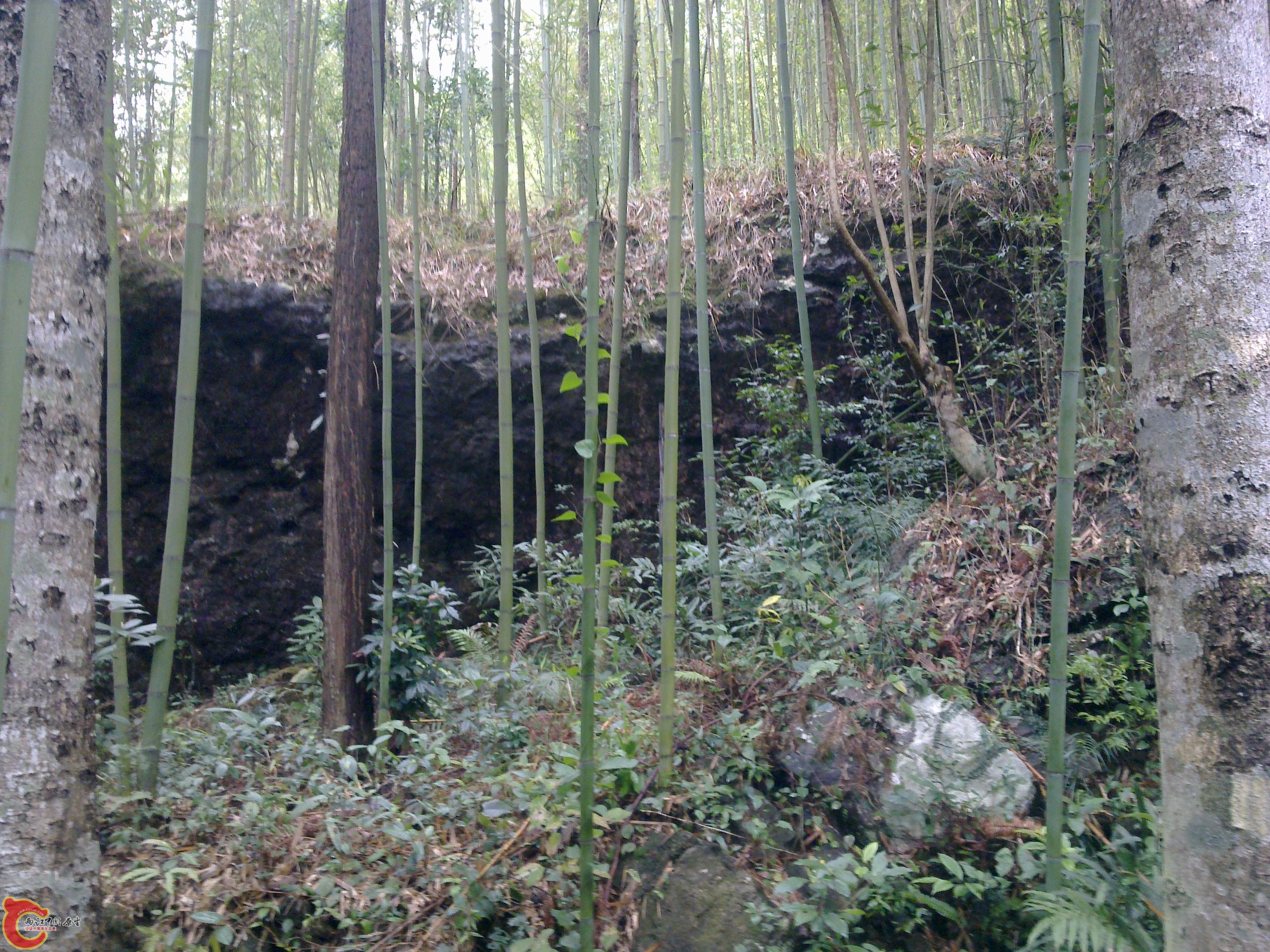 20120126079.jpg