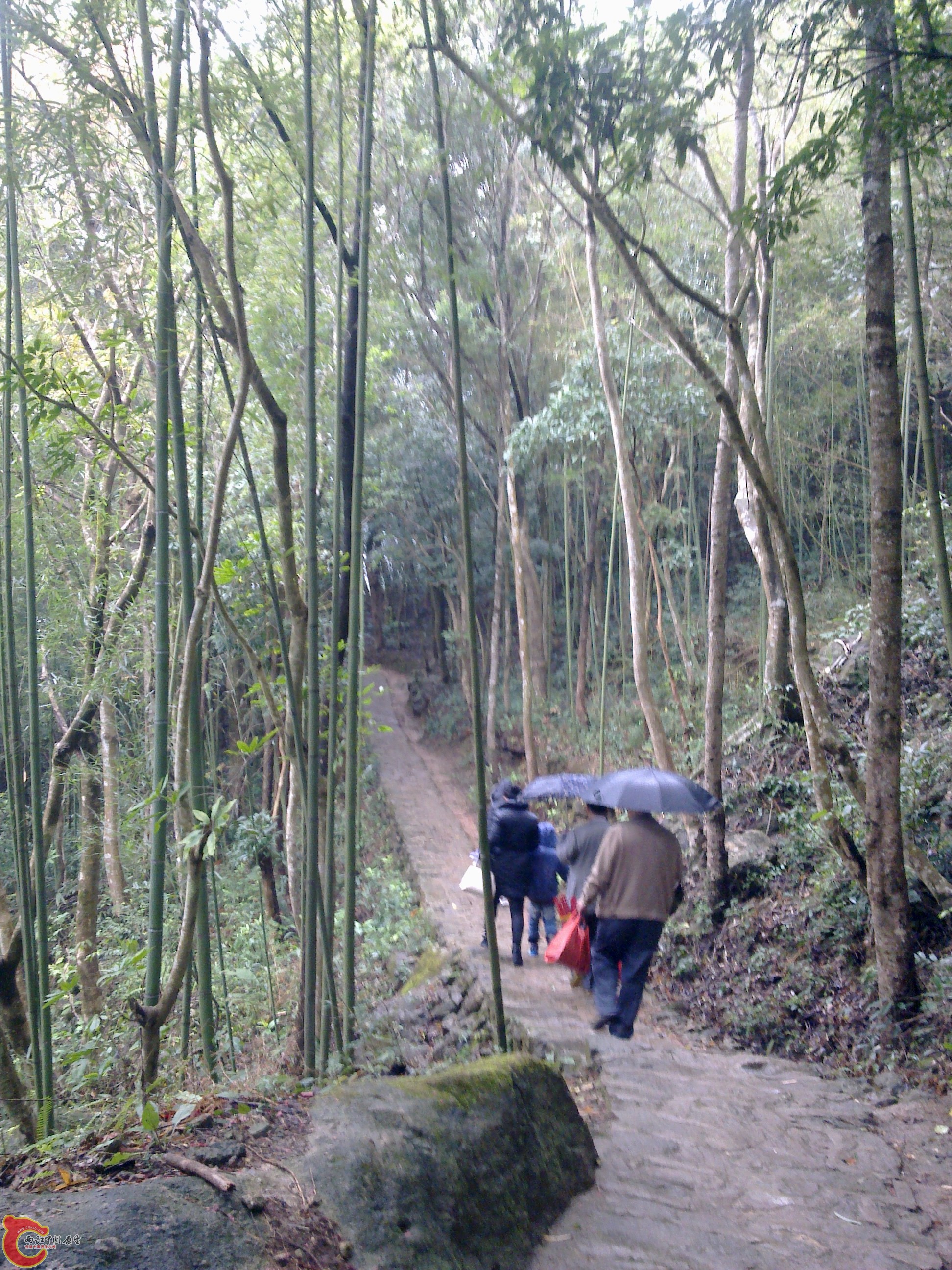 20120126080.jpg