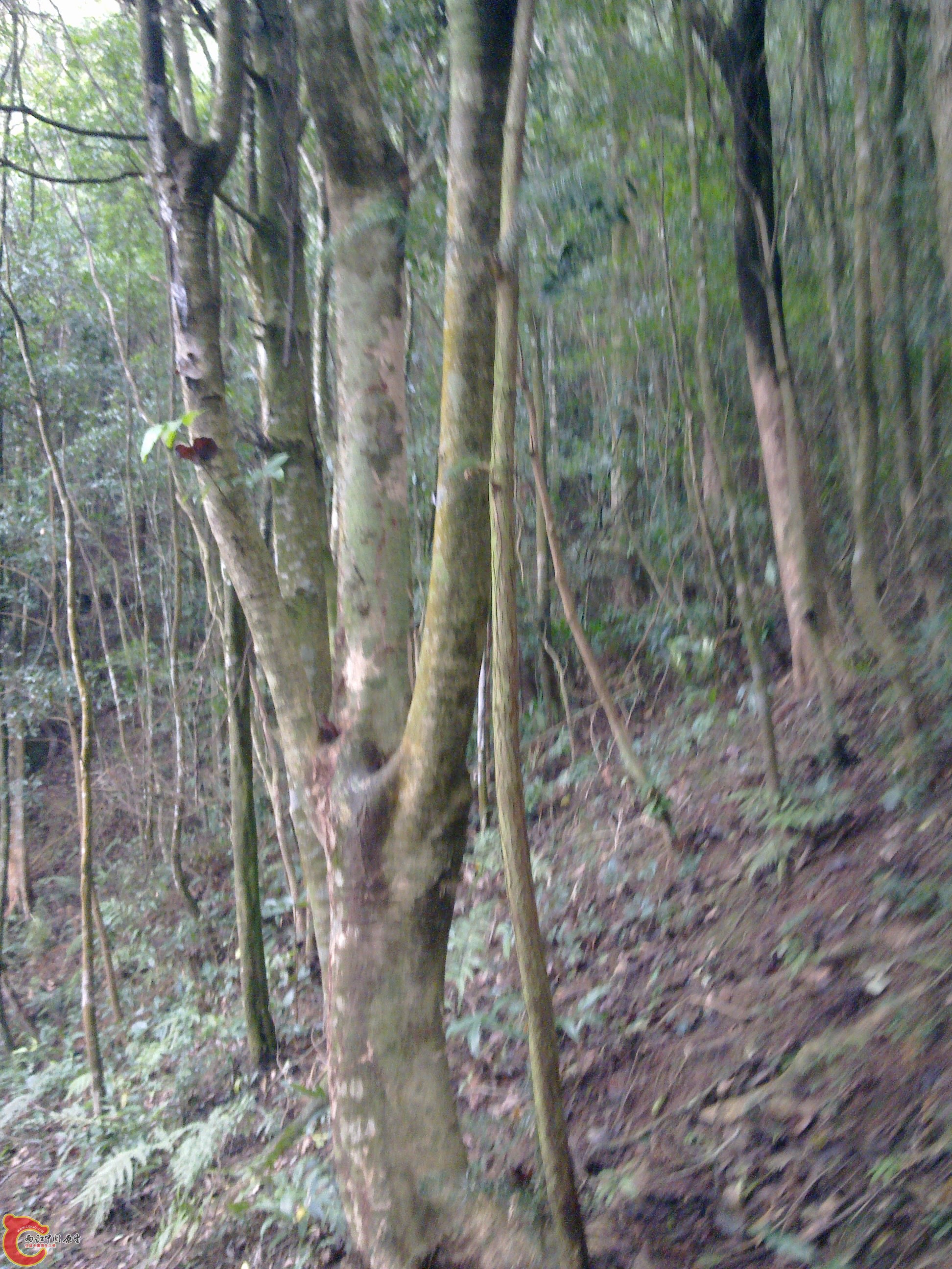 20120126081.jpg