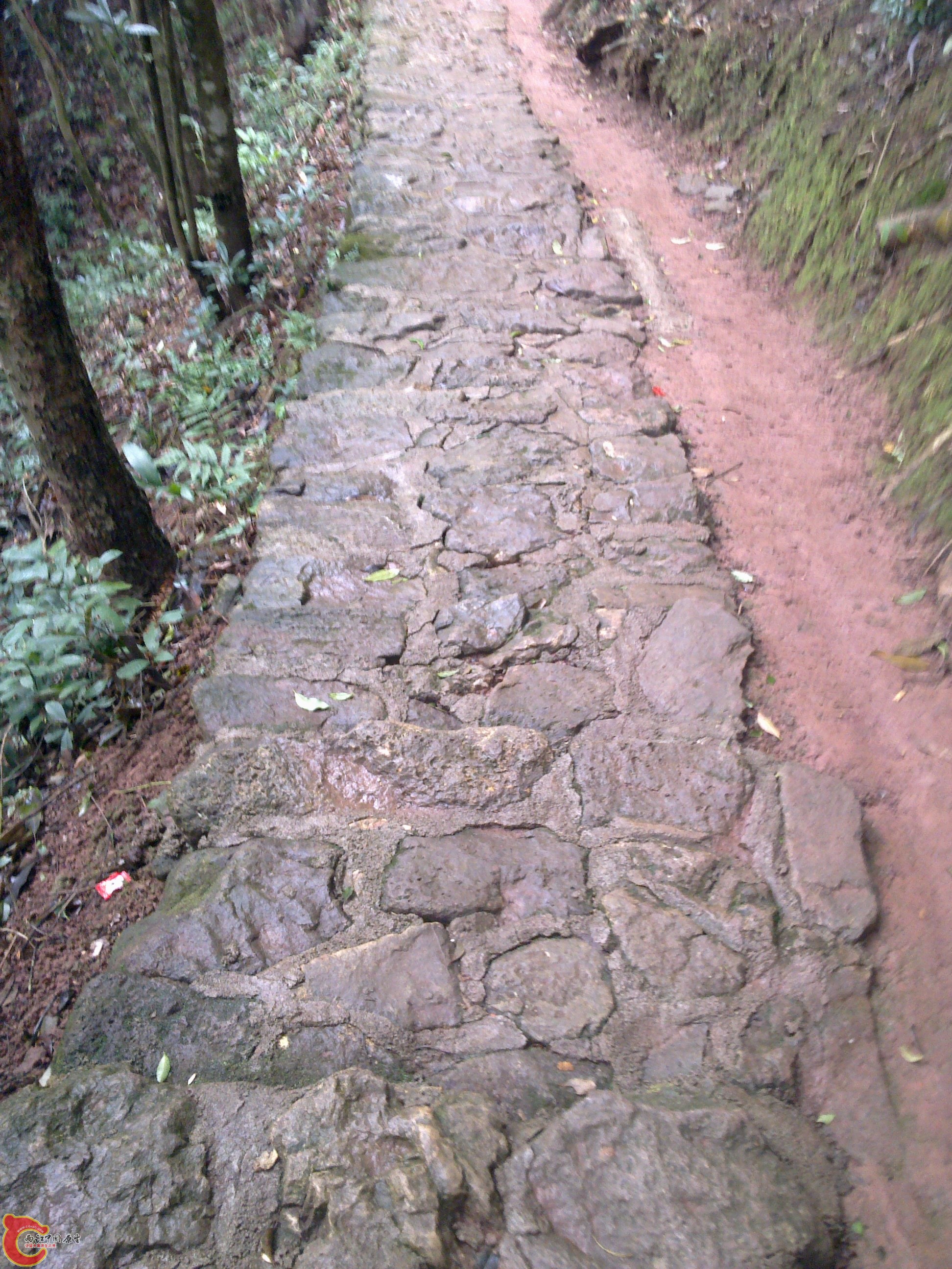 20120126082.jpg