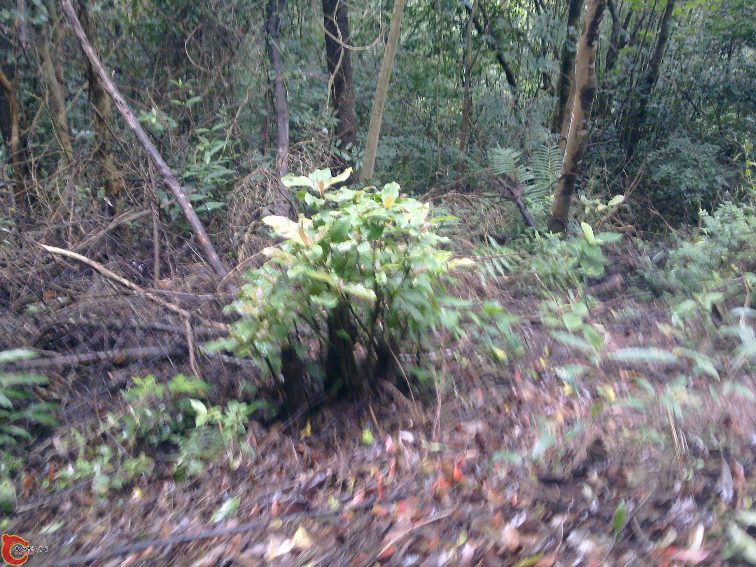 20120126083.jpg