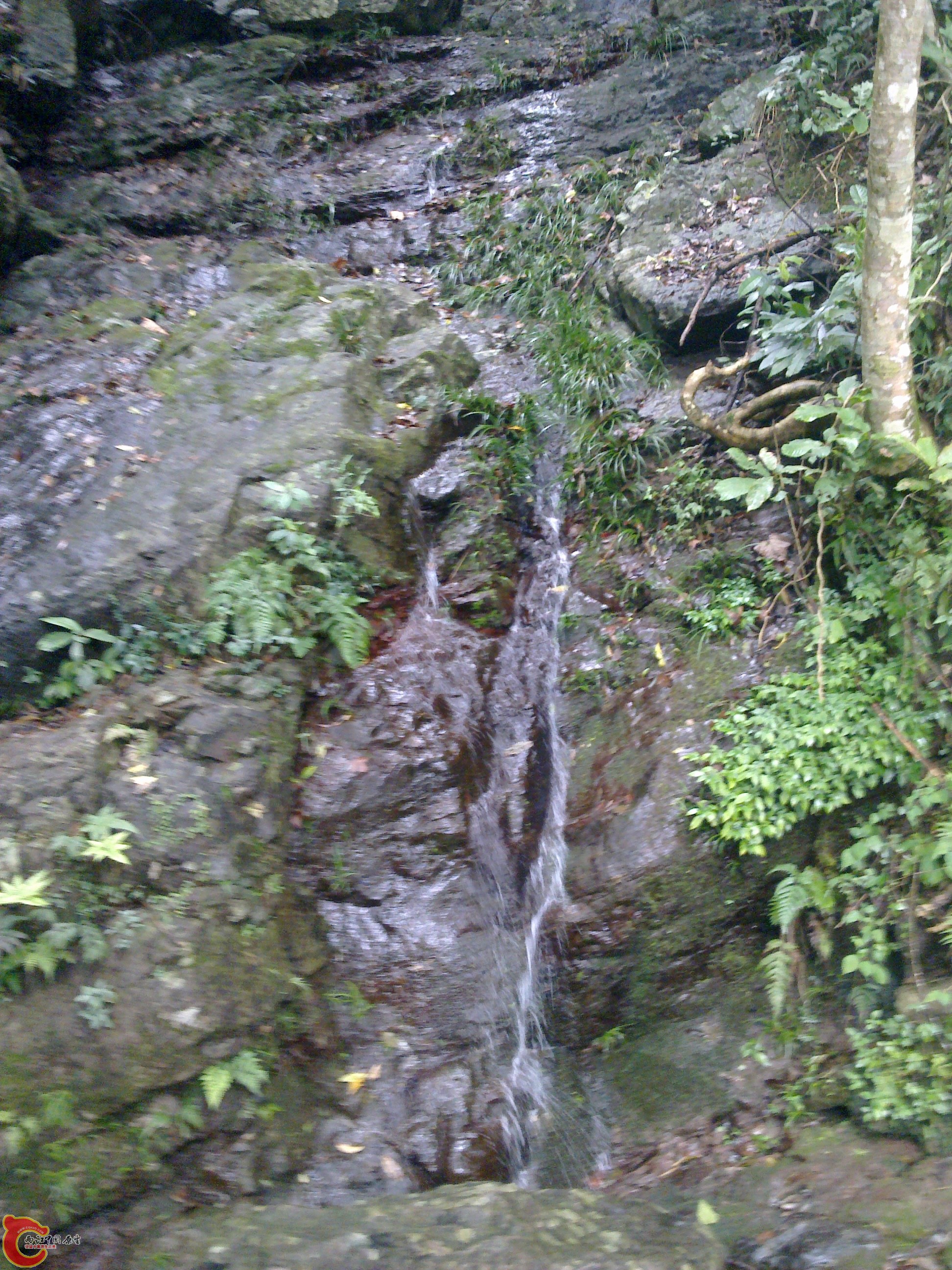 20120126085.jpg