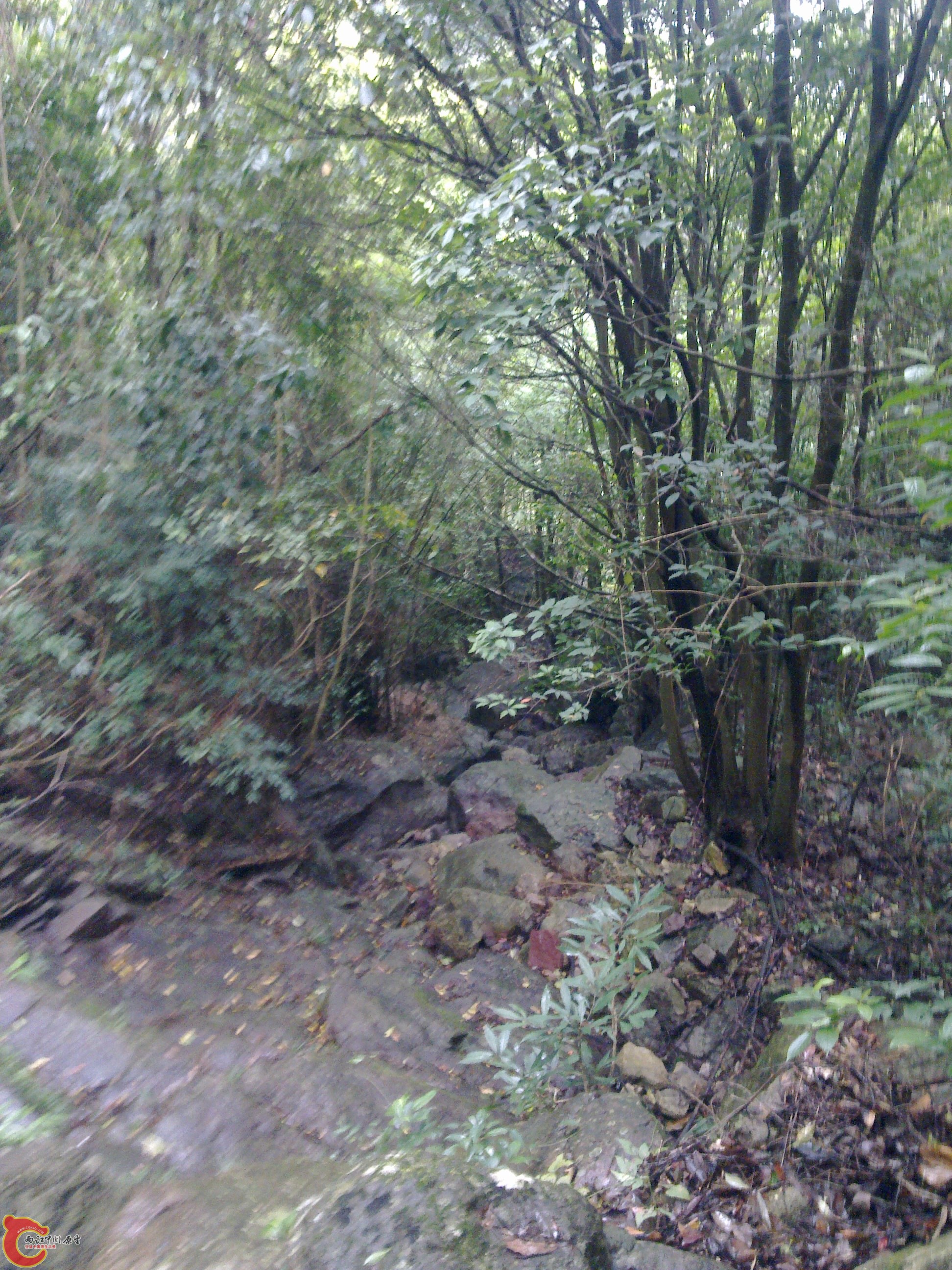 20120126086.jpg