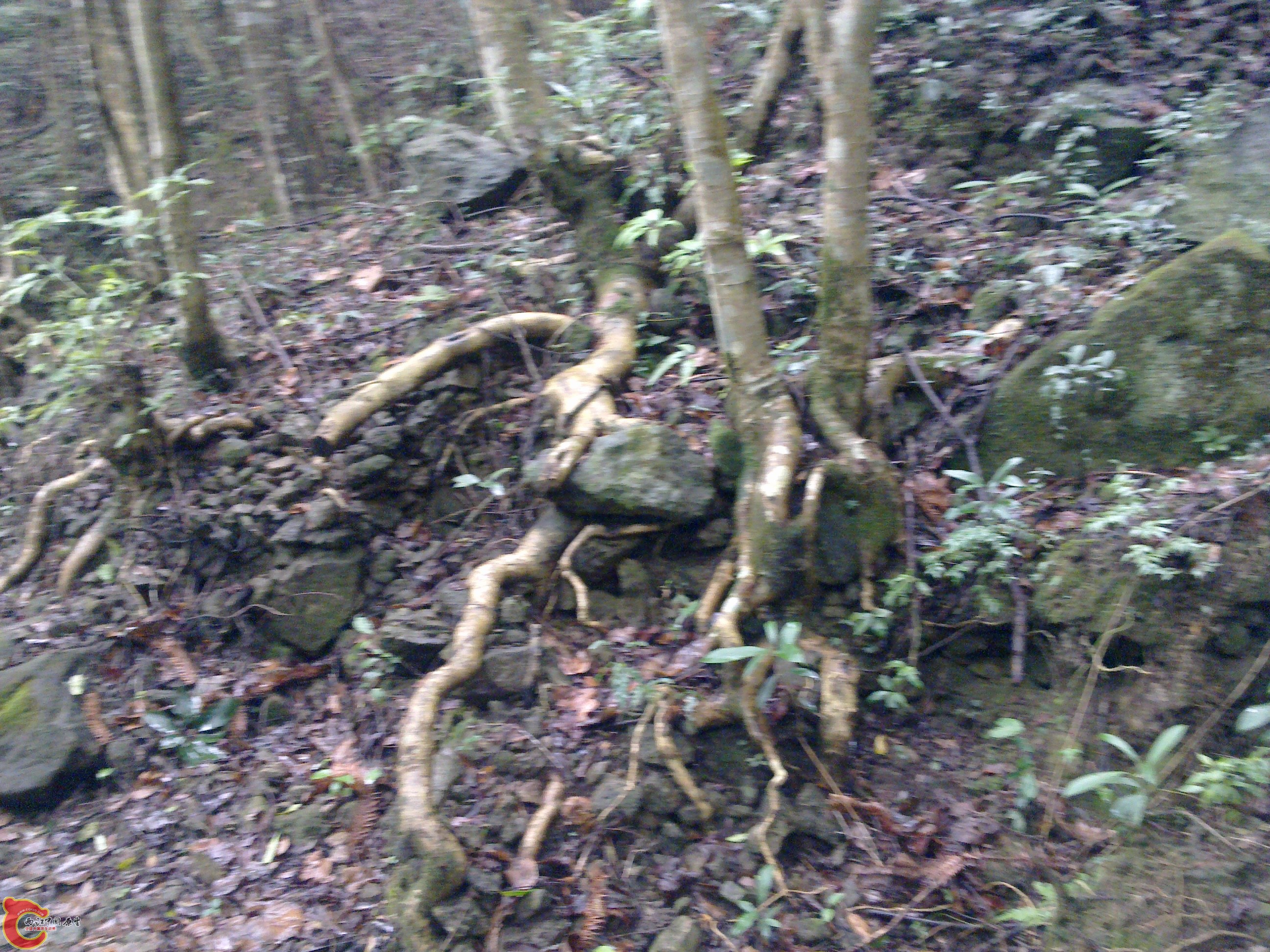 20120126087.jpg