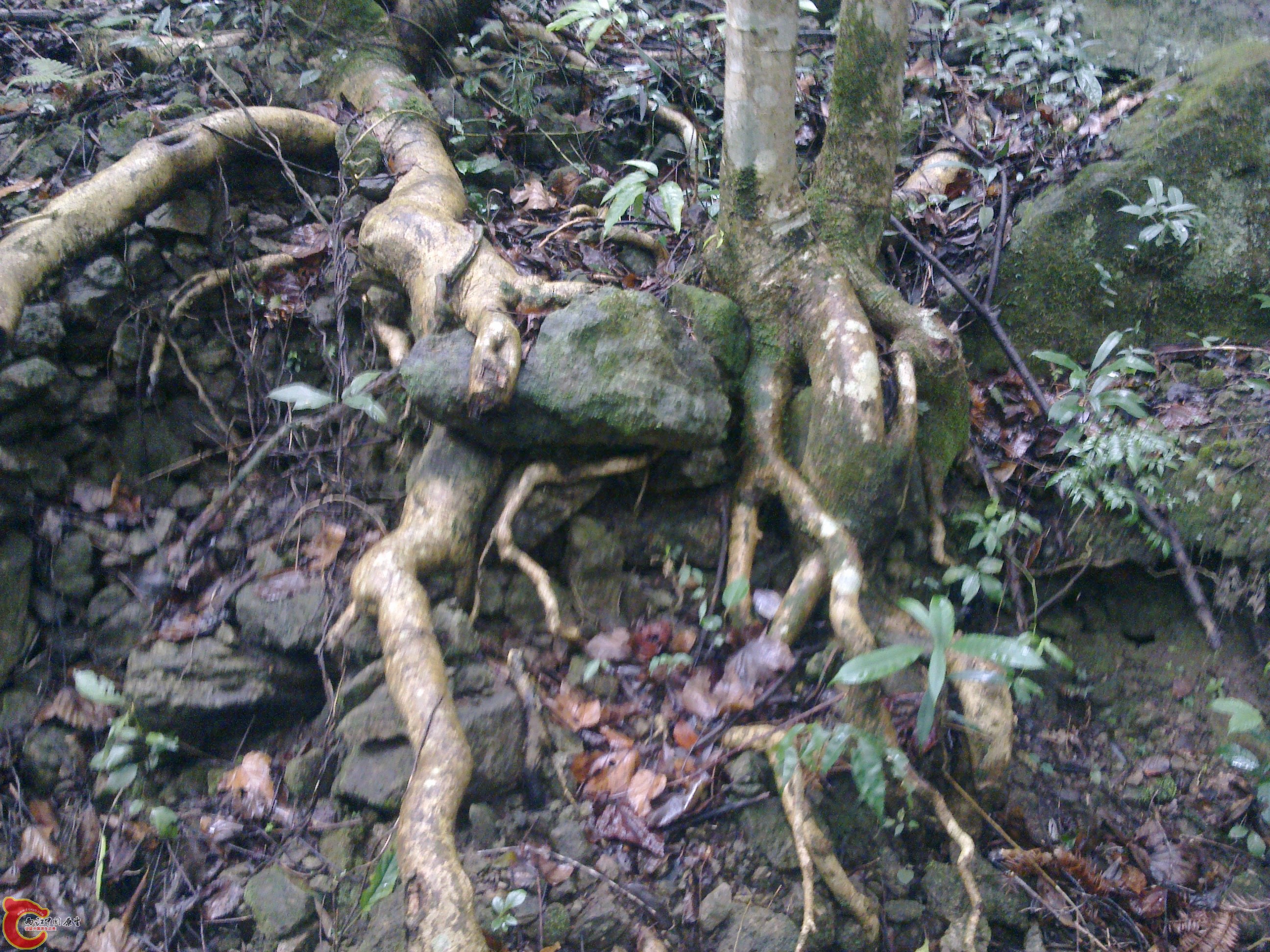 20120126088.jpg