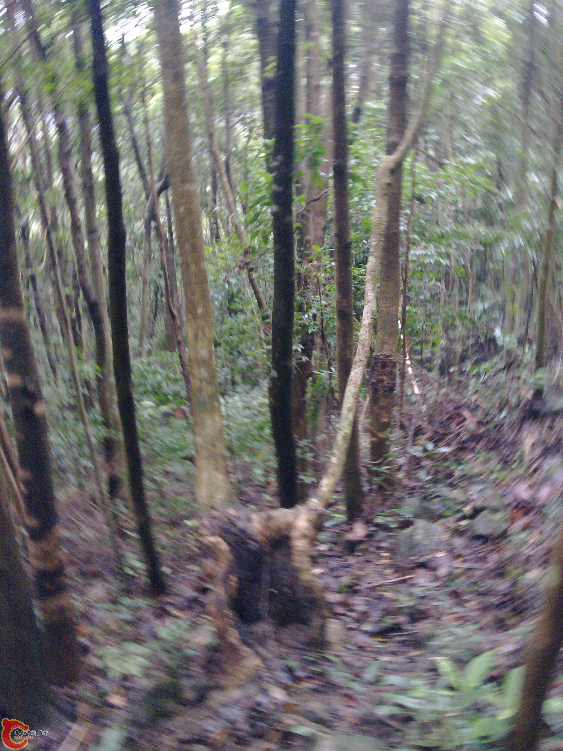20120126090.jpg