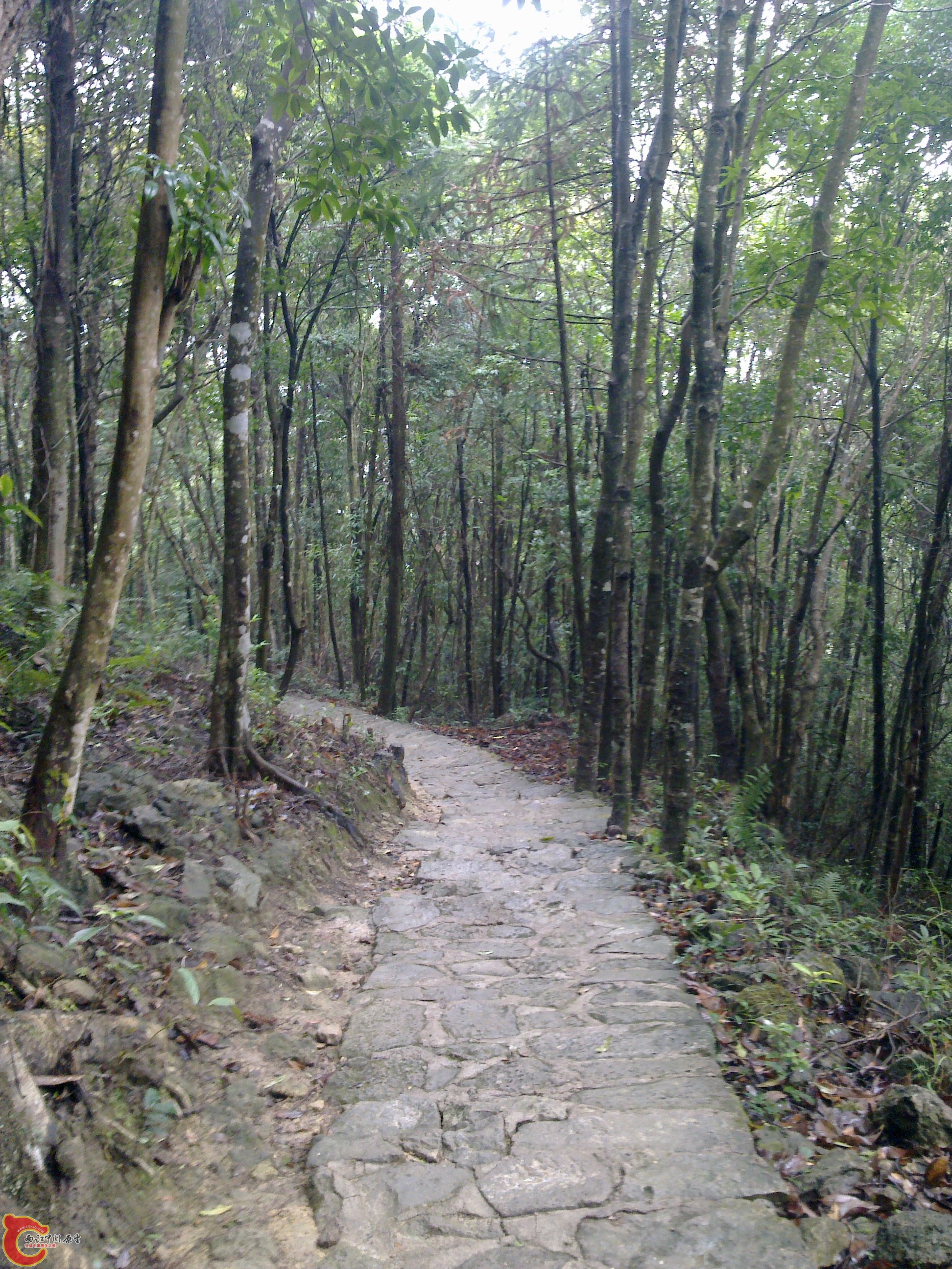 20120126091.jpg