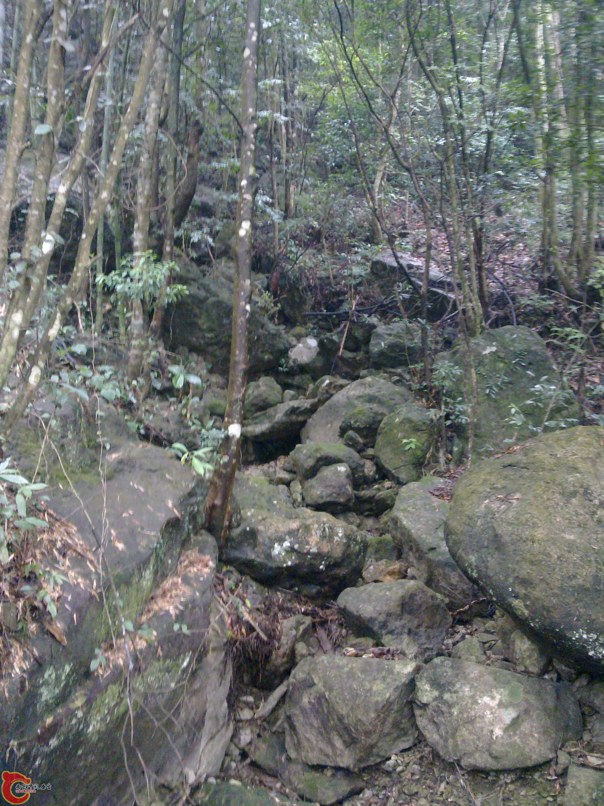 20120126093.jpg