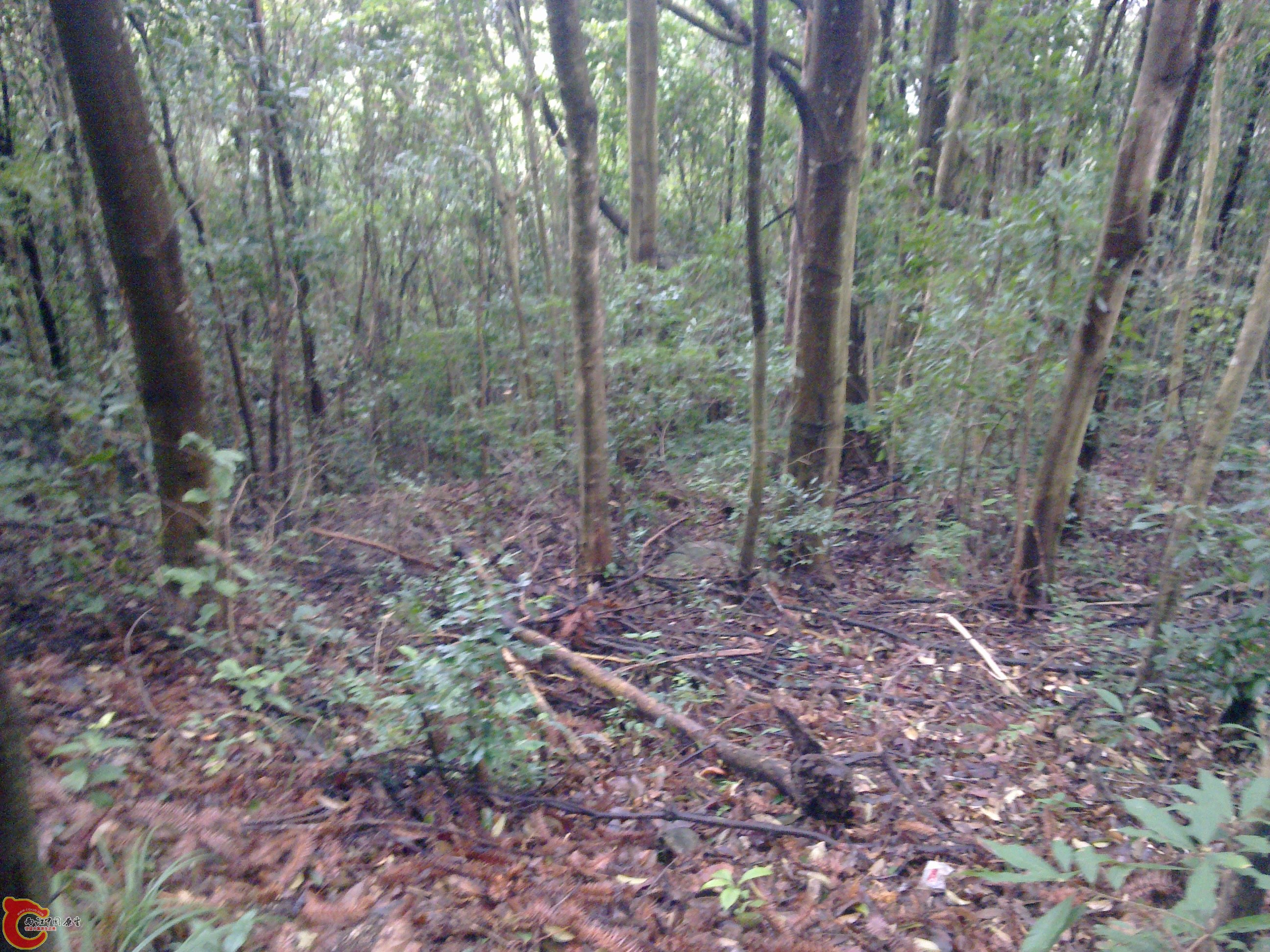 20120126096.jpg