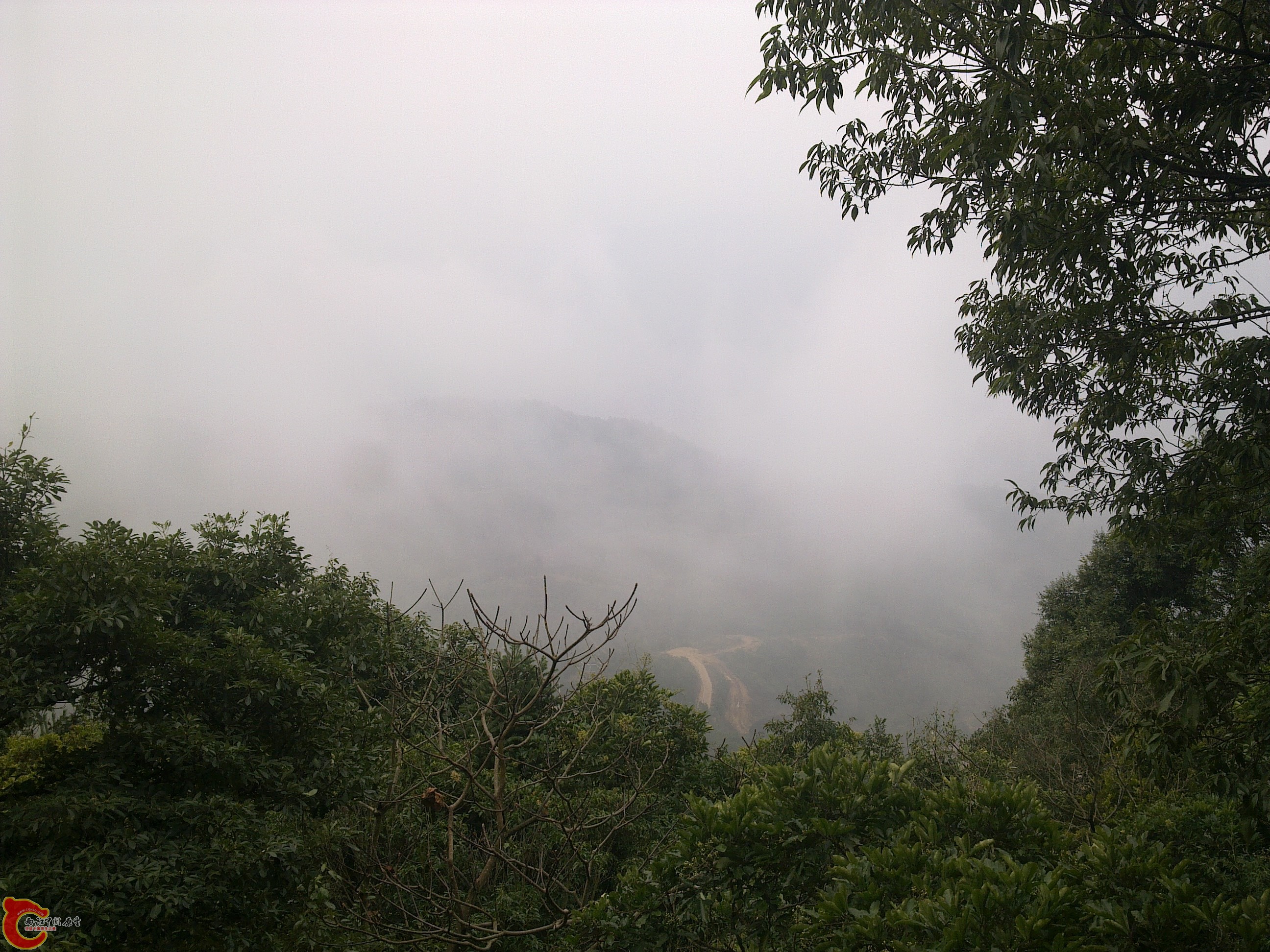 20120126098.jpg