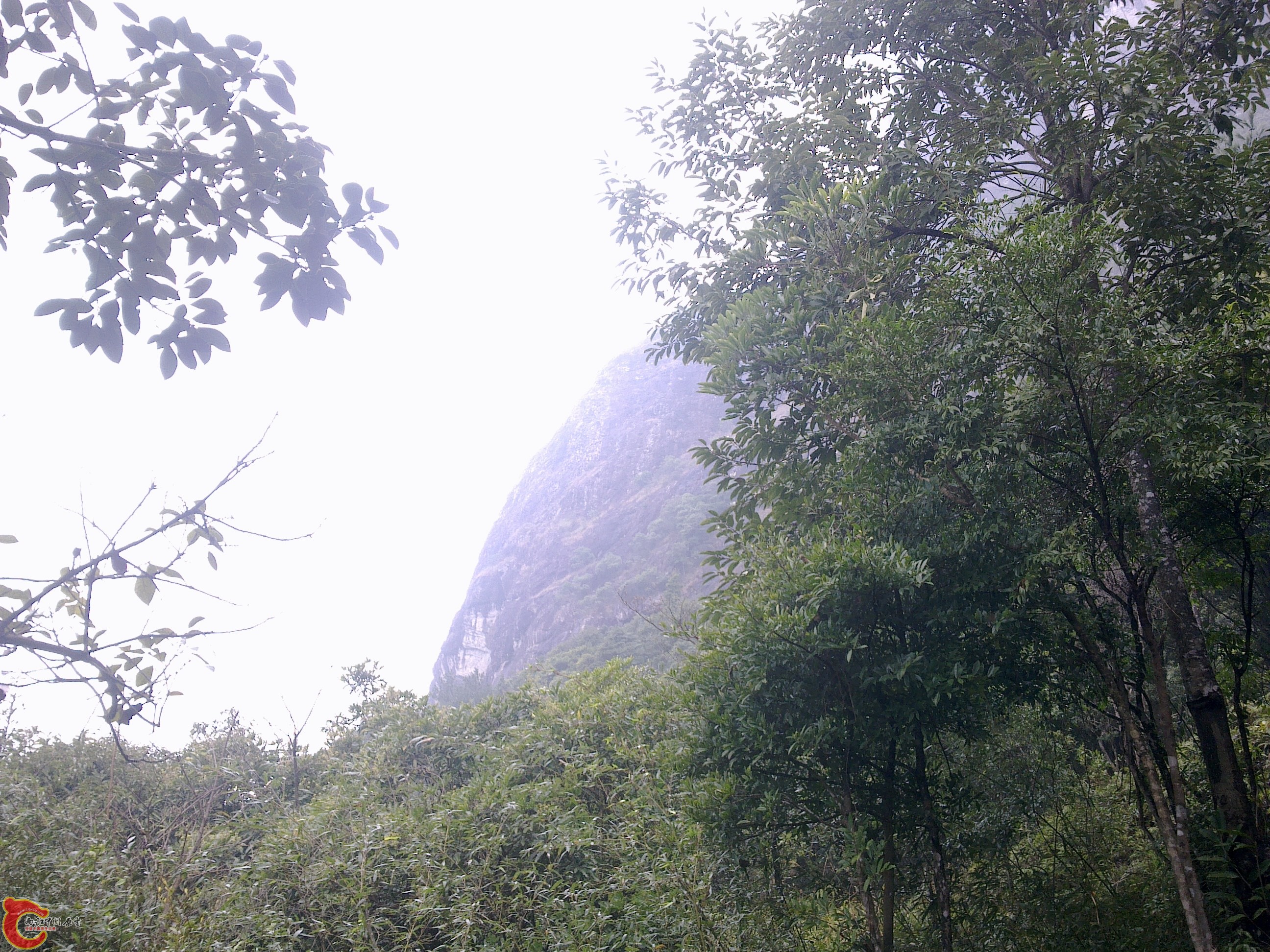 20120126099.jpg