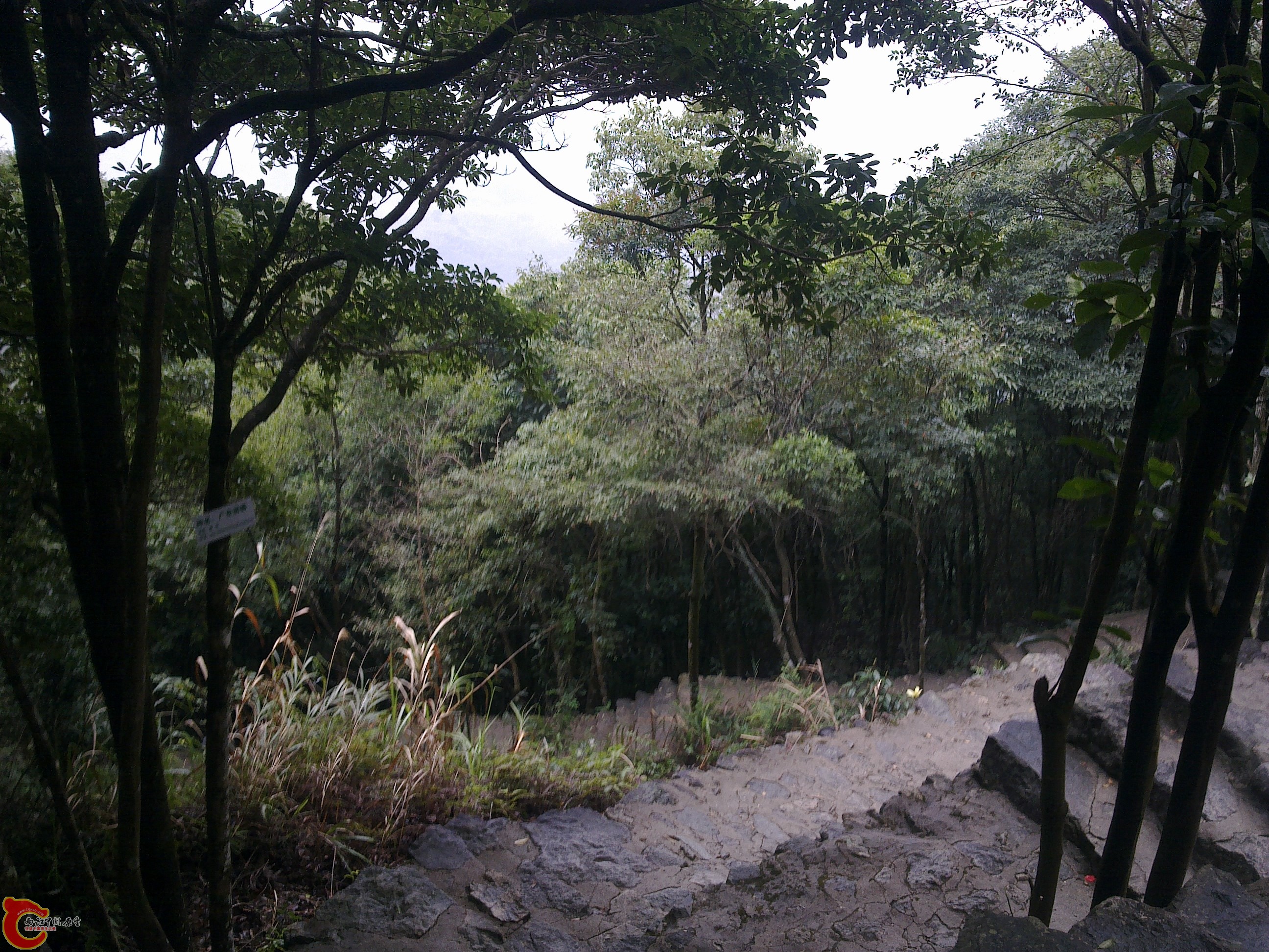 20120126101.jpg