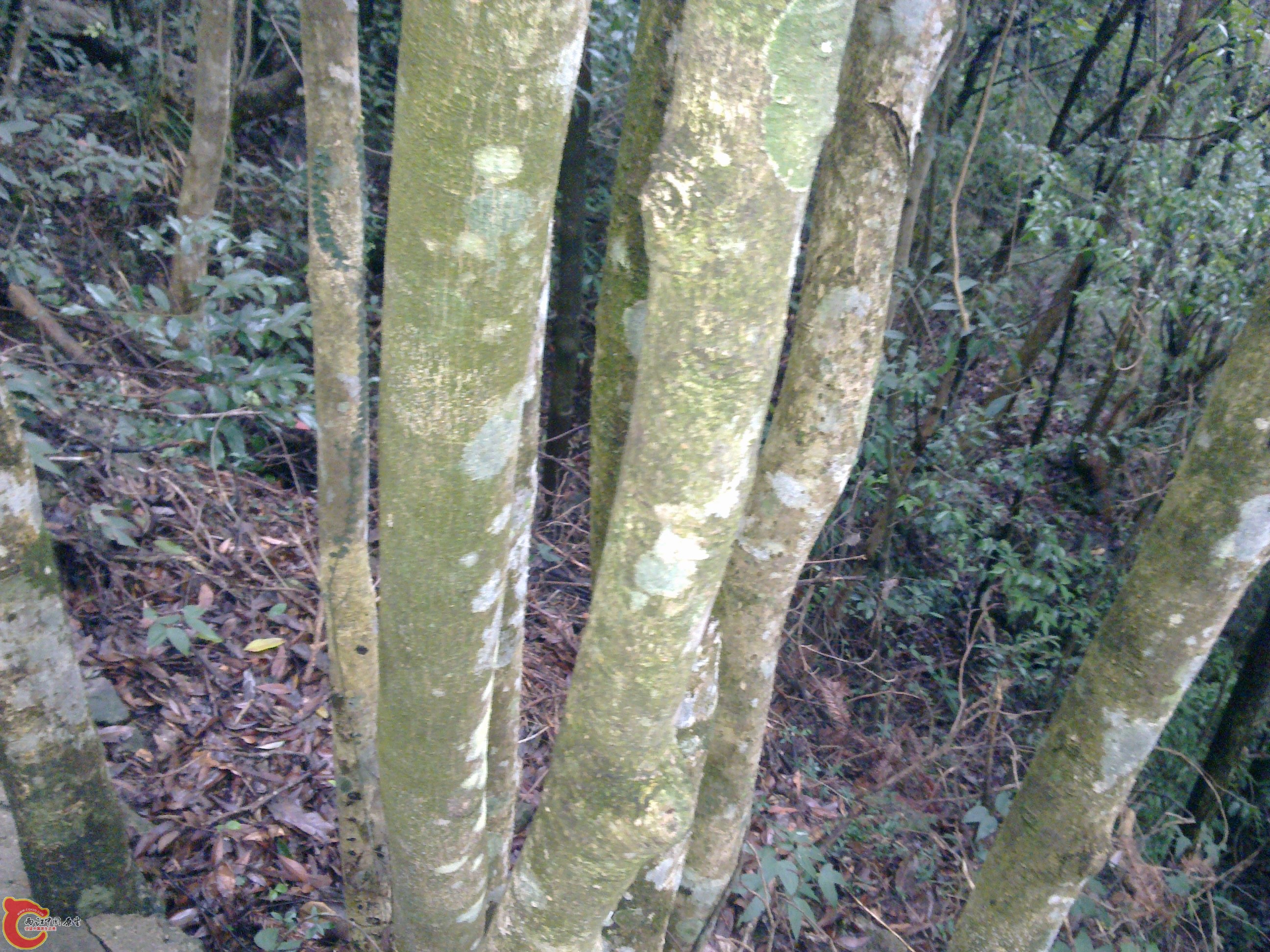 20120126102.jpg