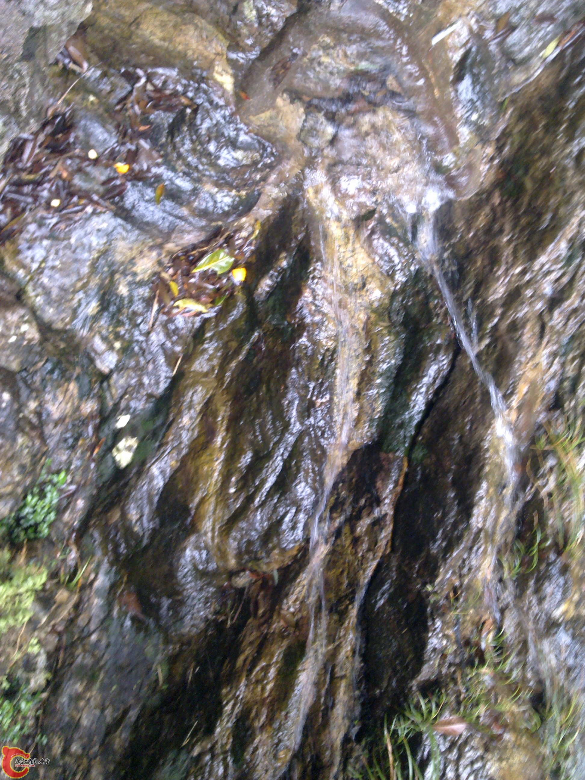20120126107.jpg