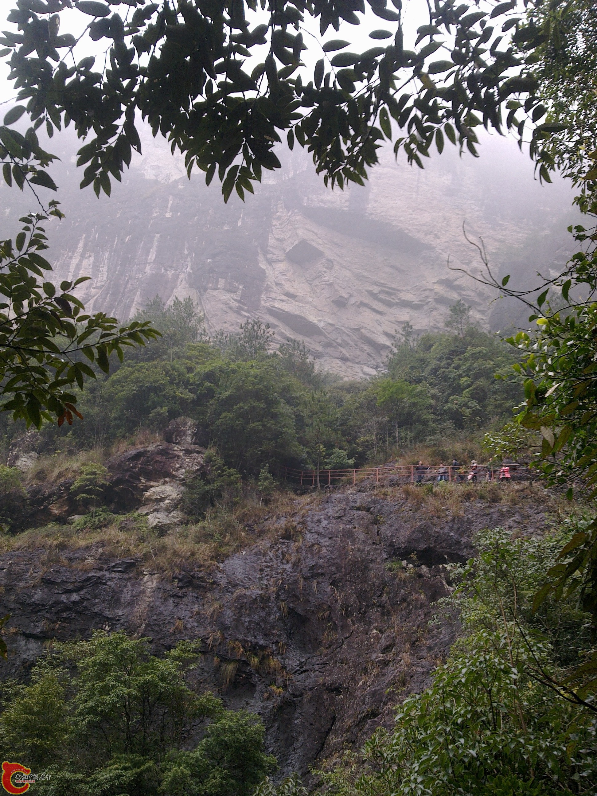 20120126112.jpg