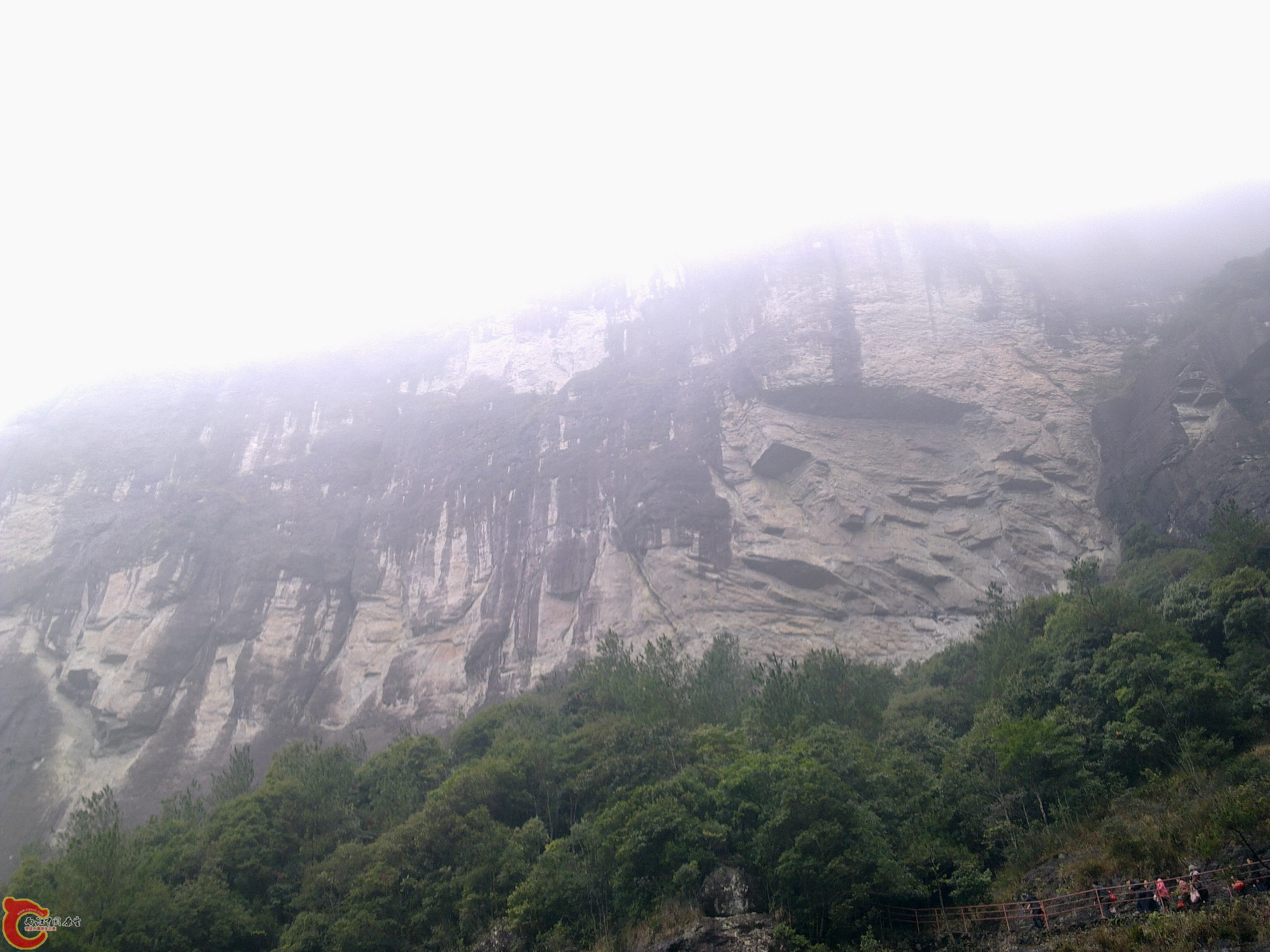20120126113.jpg