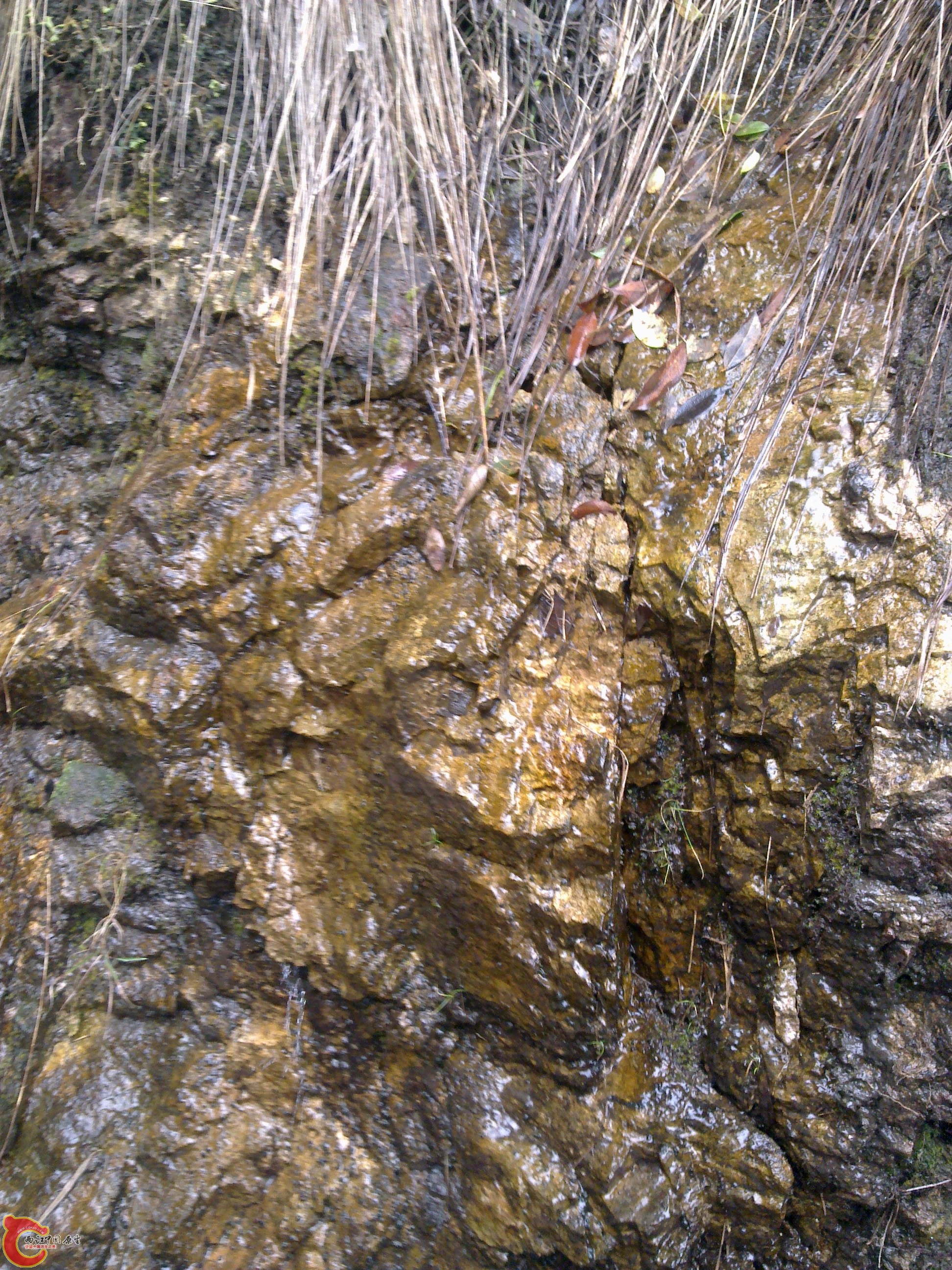 20120126117.jpg
