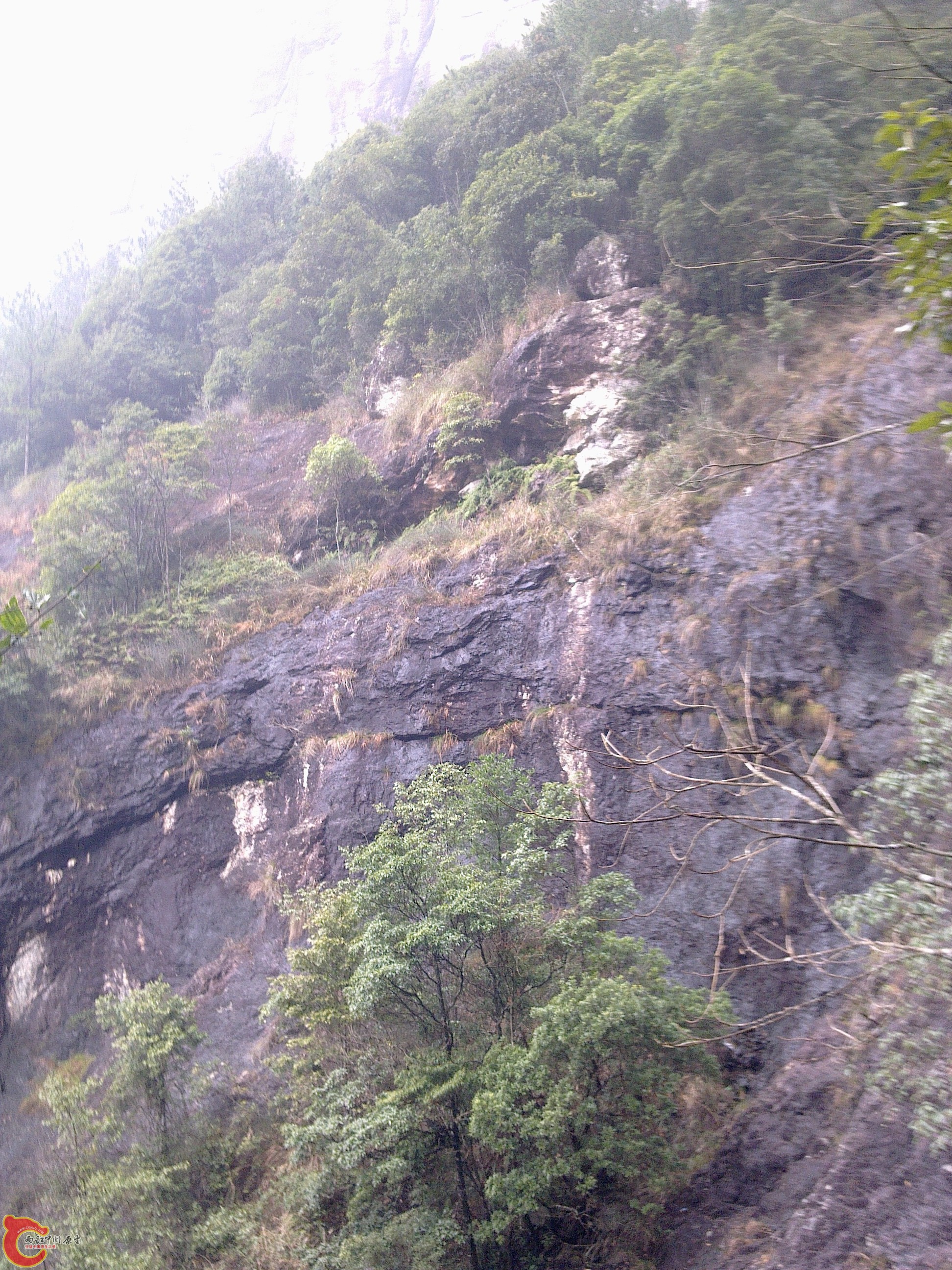 20120126119.jpg