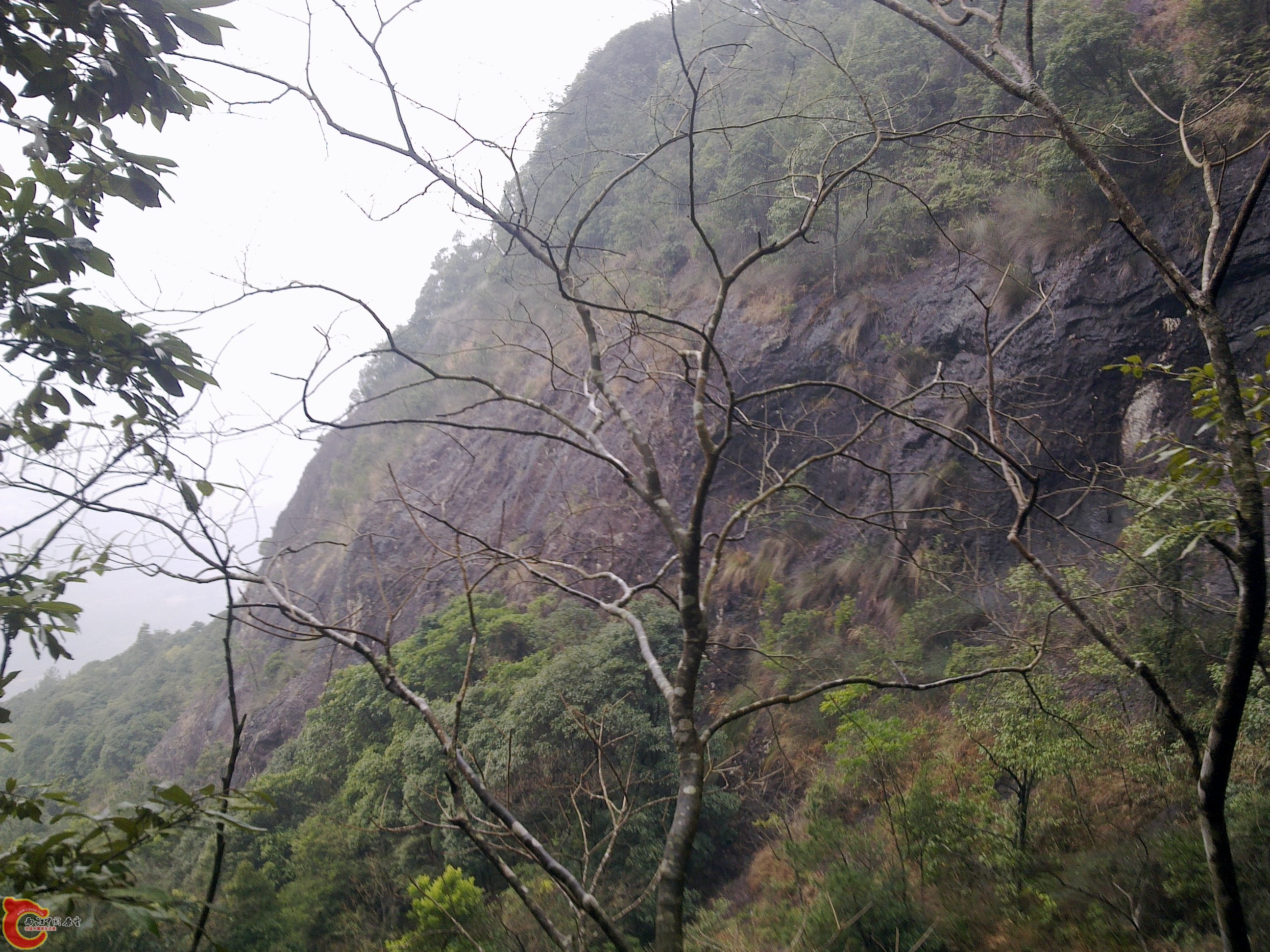 20120126120.jpg