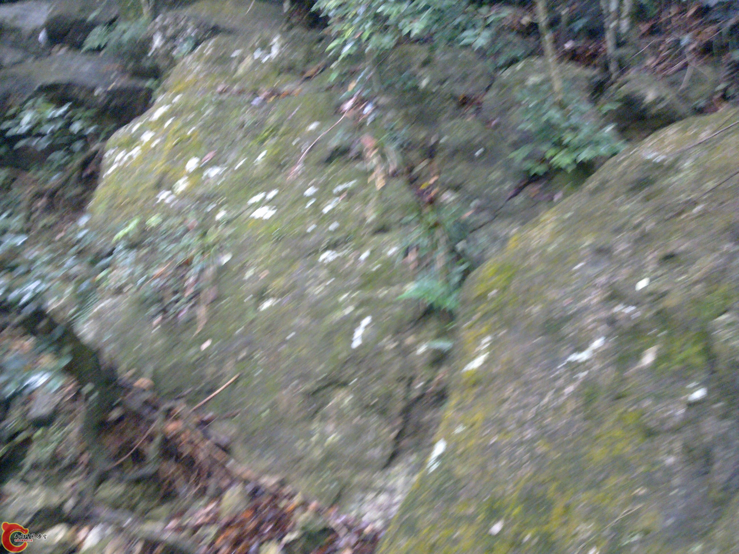 20120126124.jpg