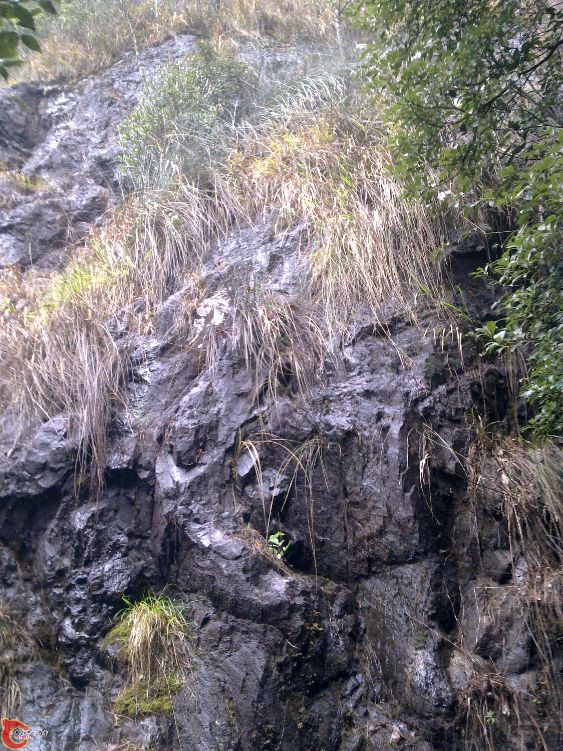20120126125.jpg