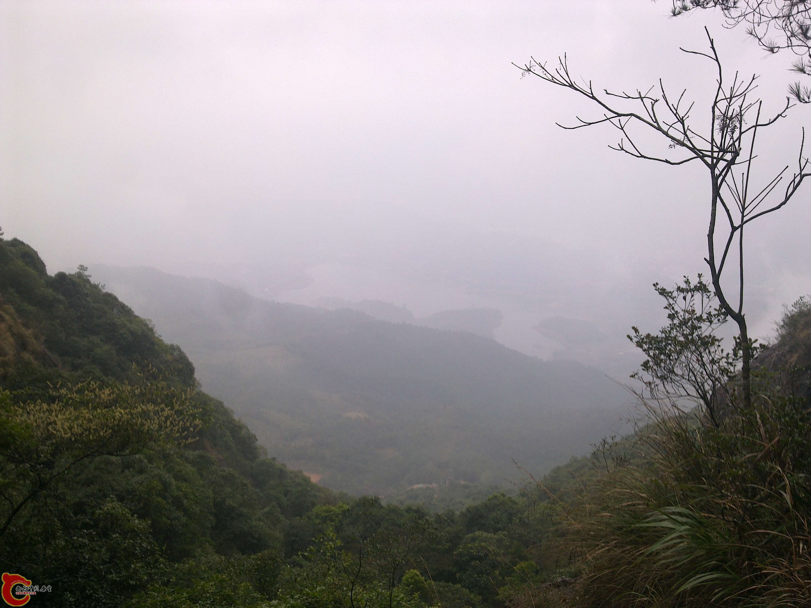 20120126126.jpg