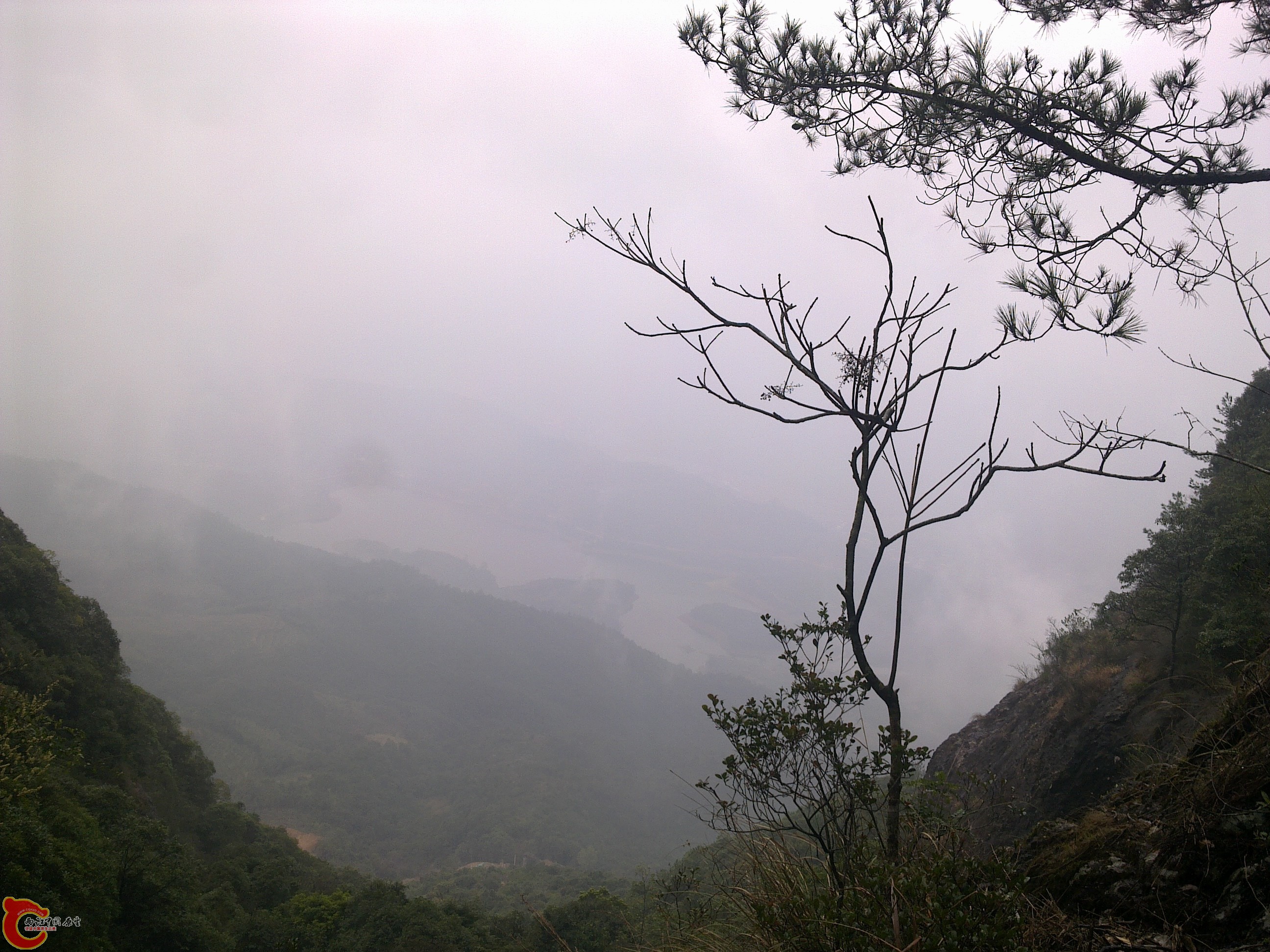 20120126129.jpg