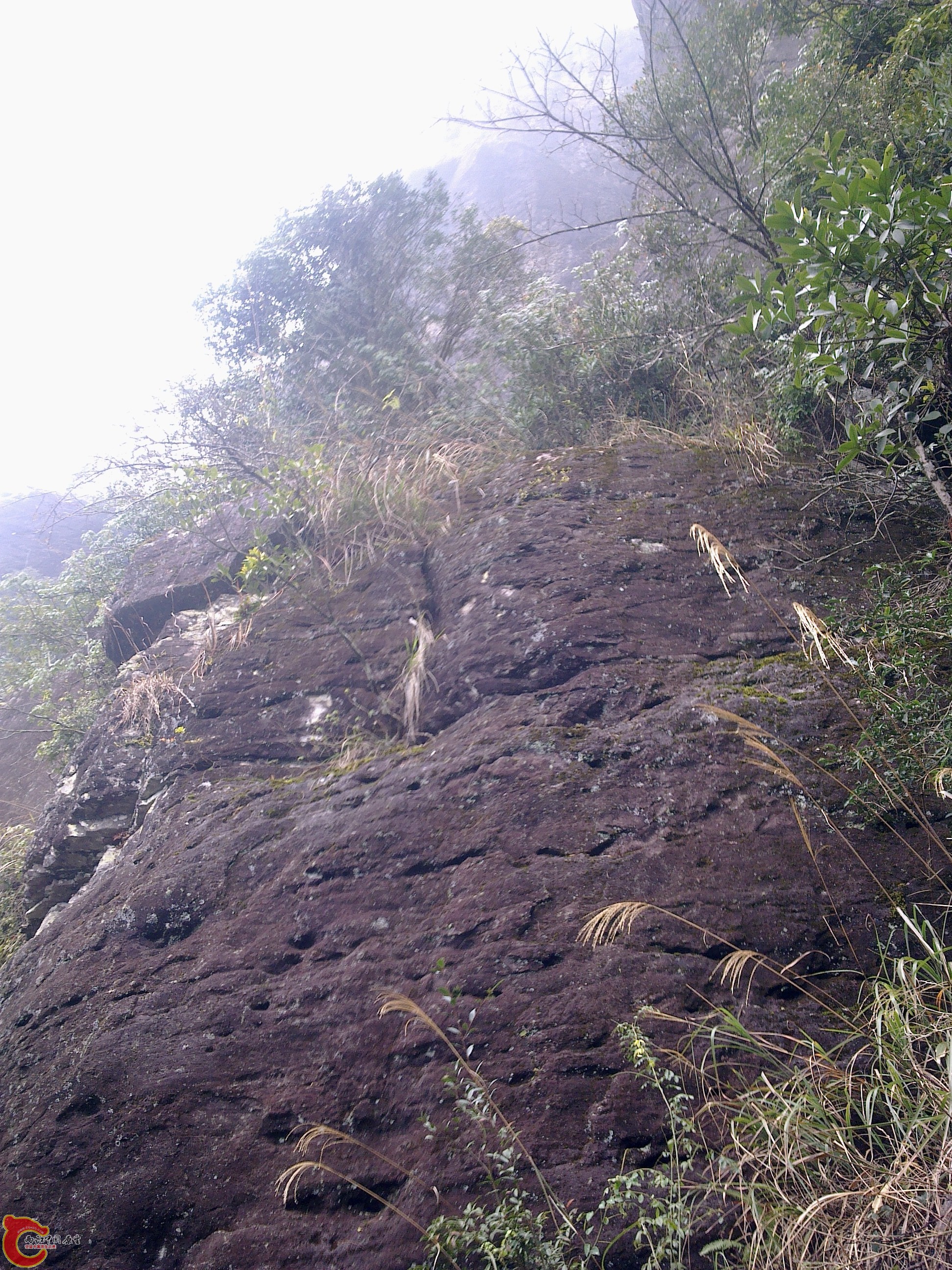20120126134.jpg