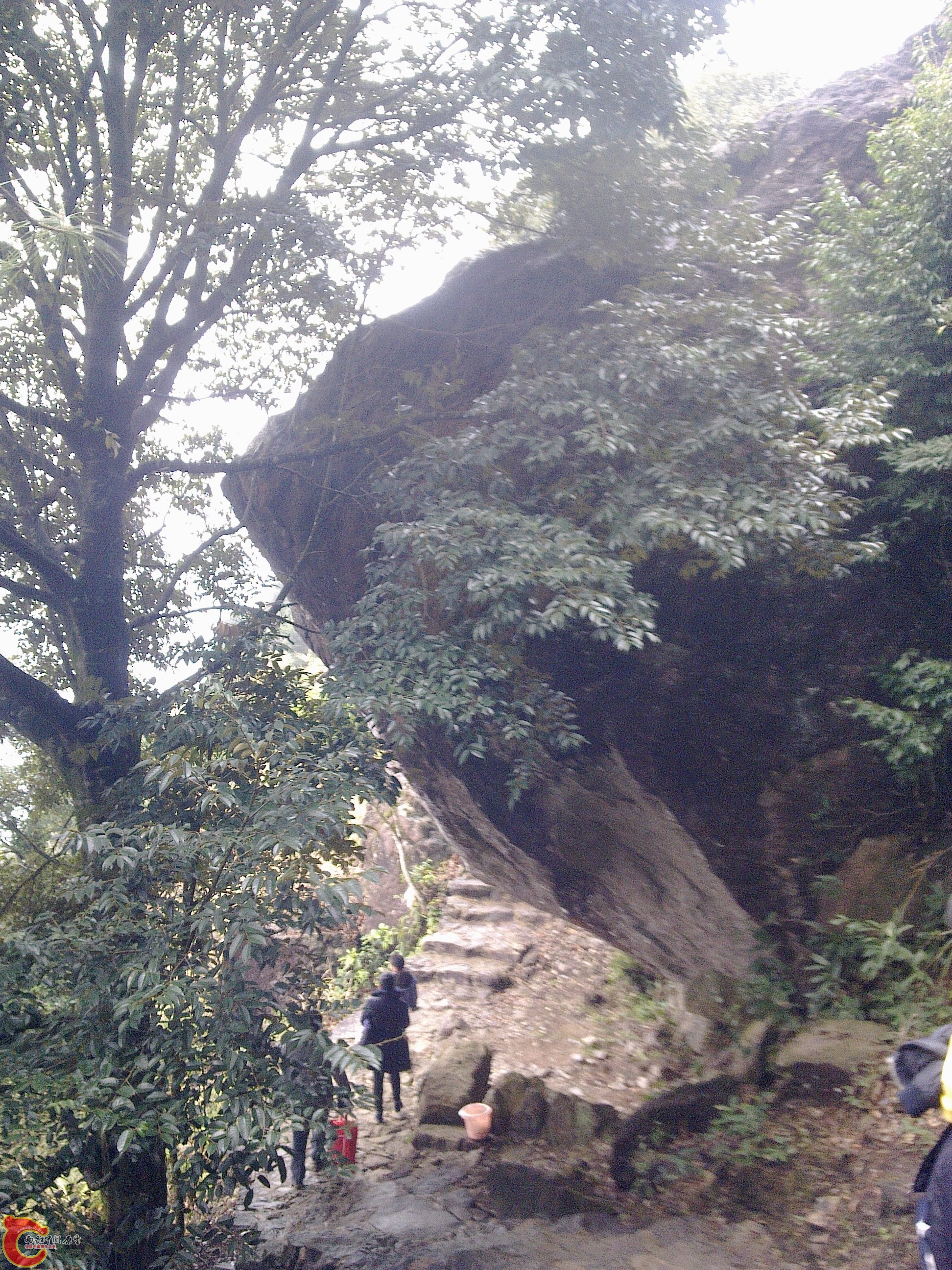 20120126135.jpg